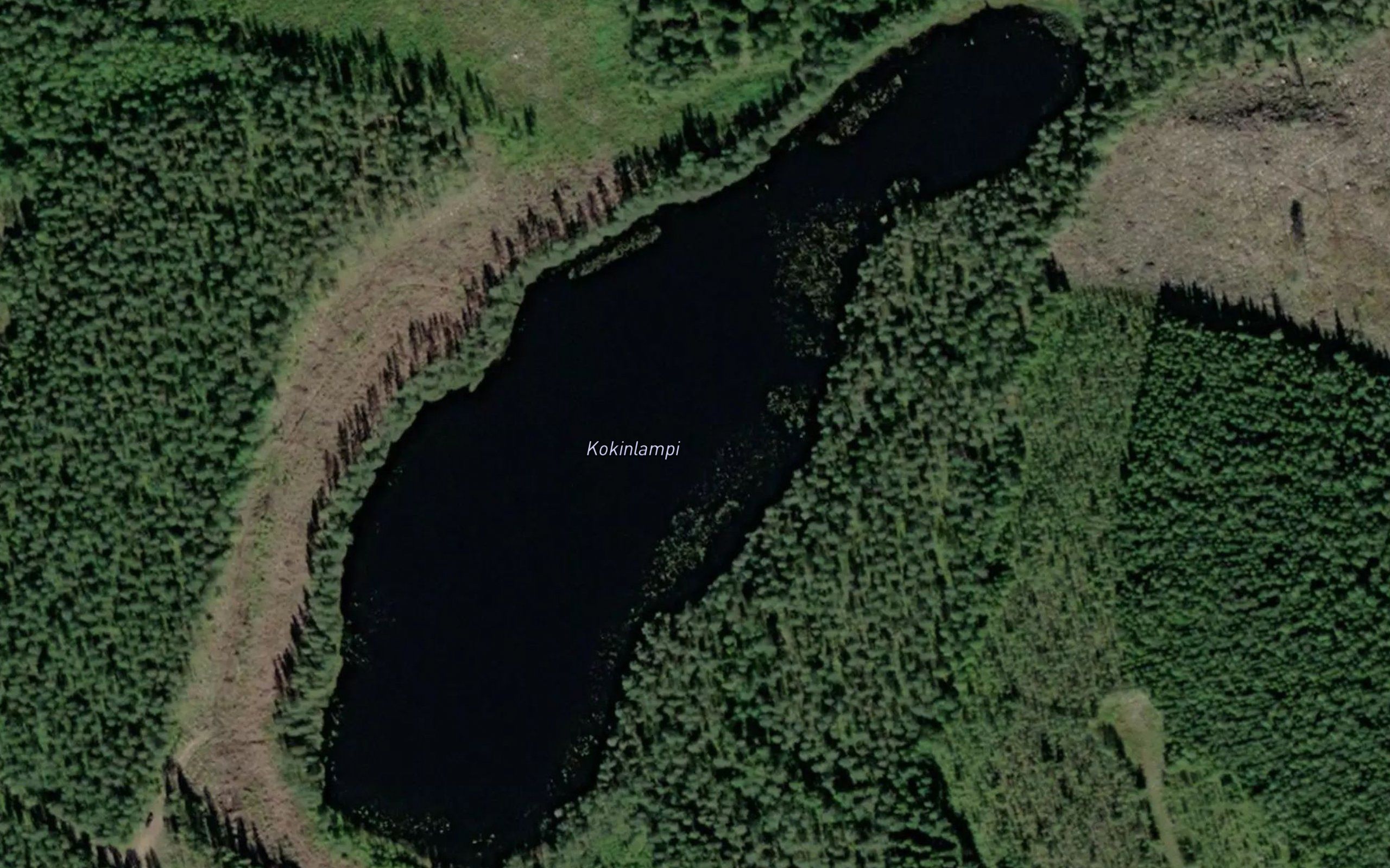 Kokinlampi