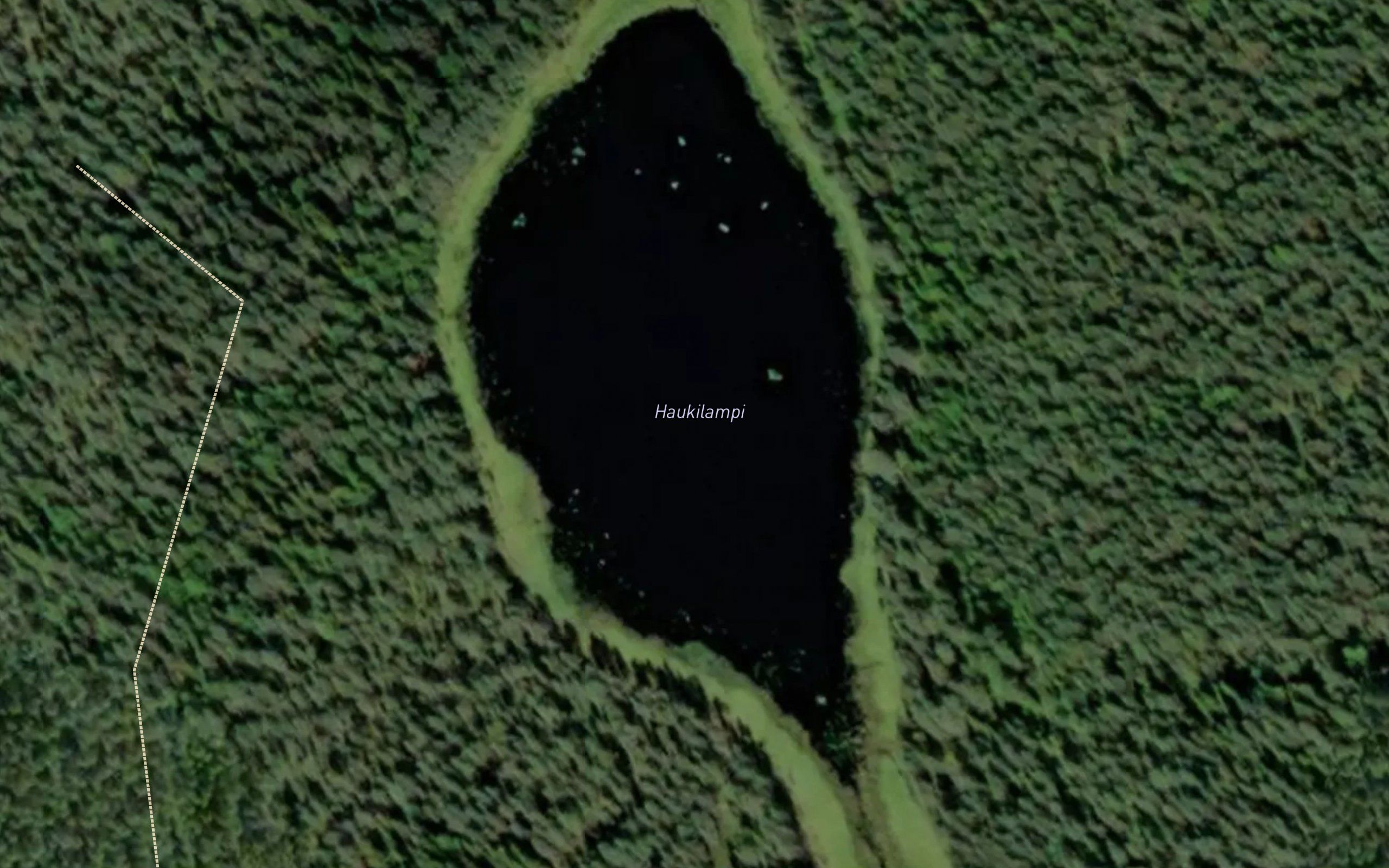 Haukilampi