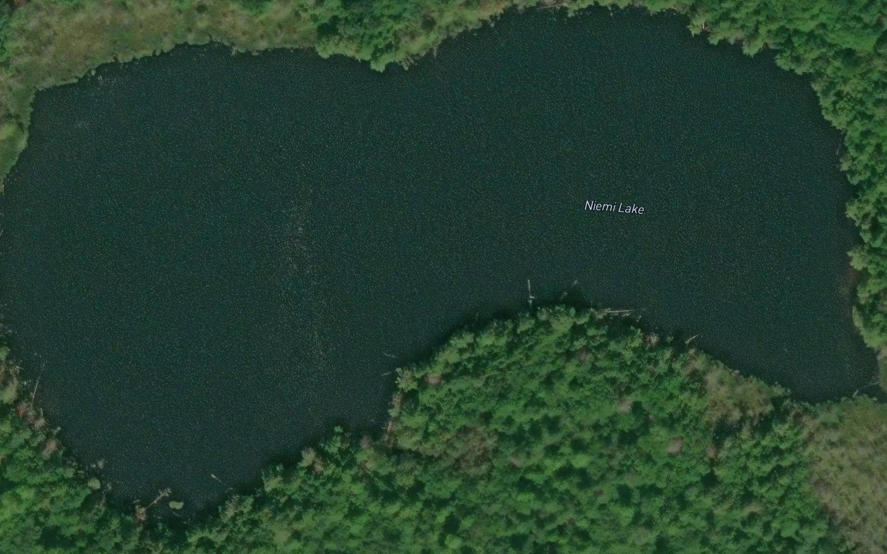 Satellite map of the Niemi Lake