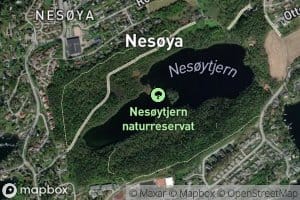 Nesoytjern