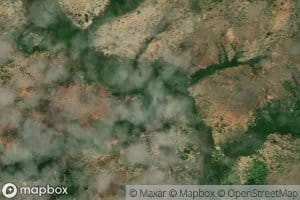 Morichal Tunas Campo