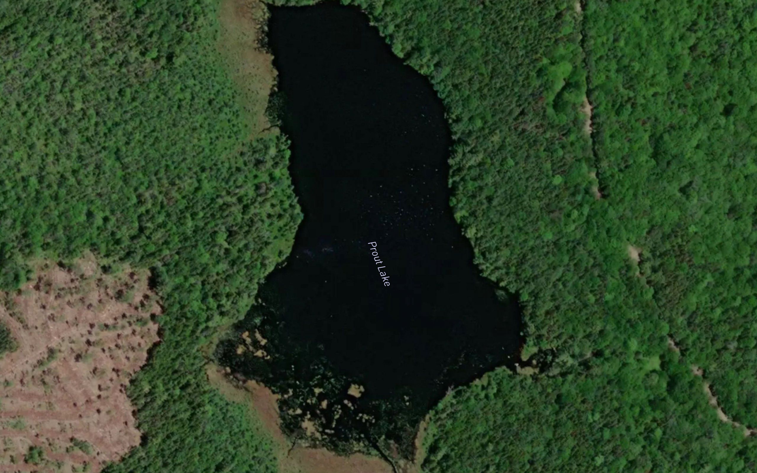 Prout Lake