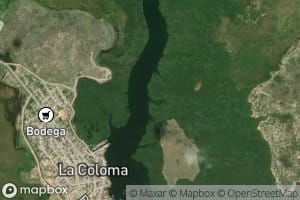 Rio Brazo de Enrique