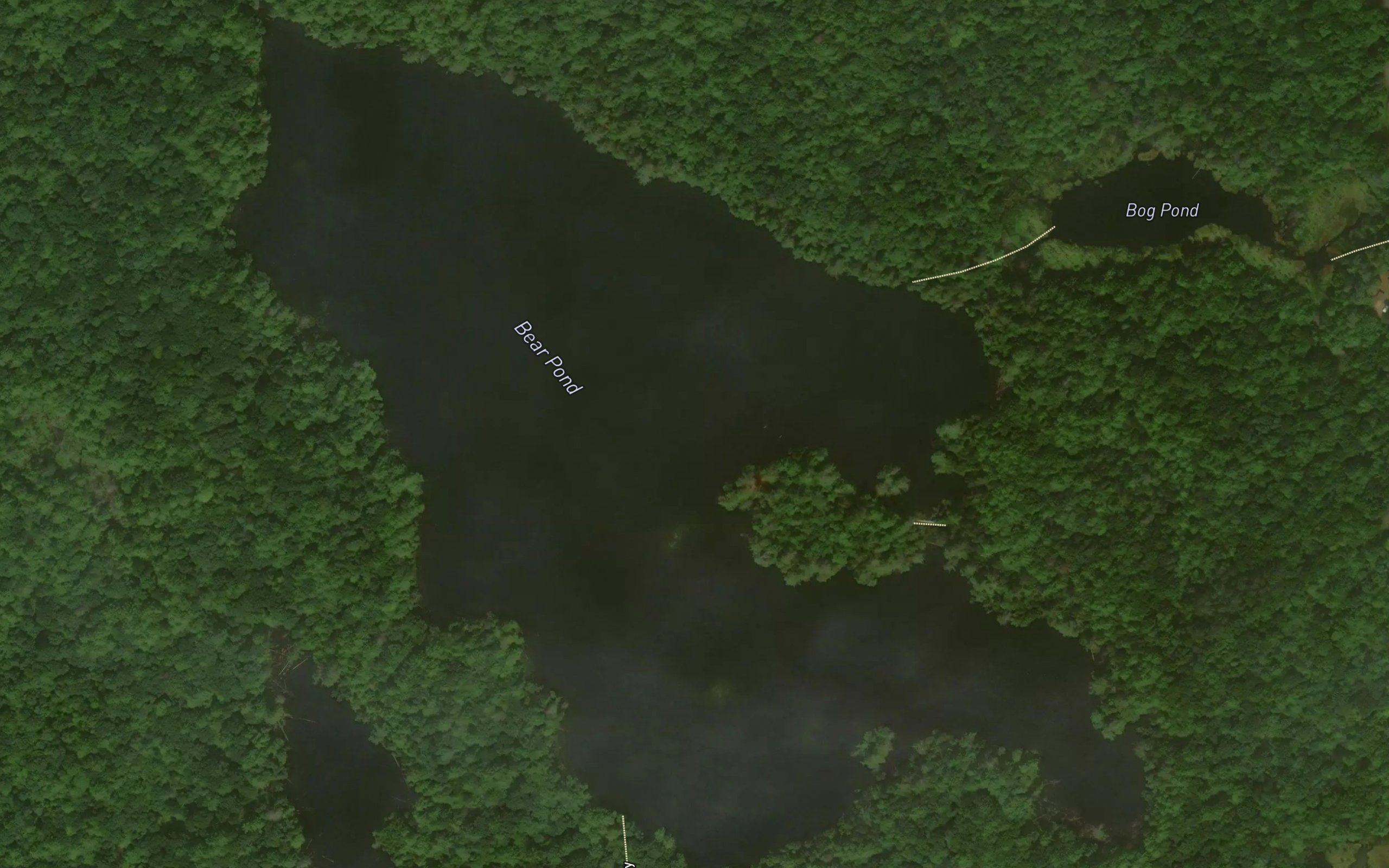 Bear Pond
