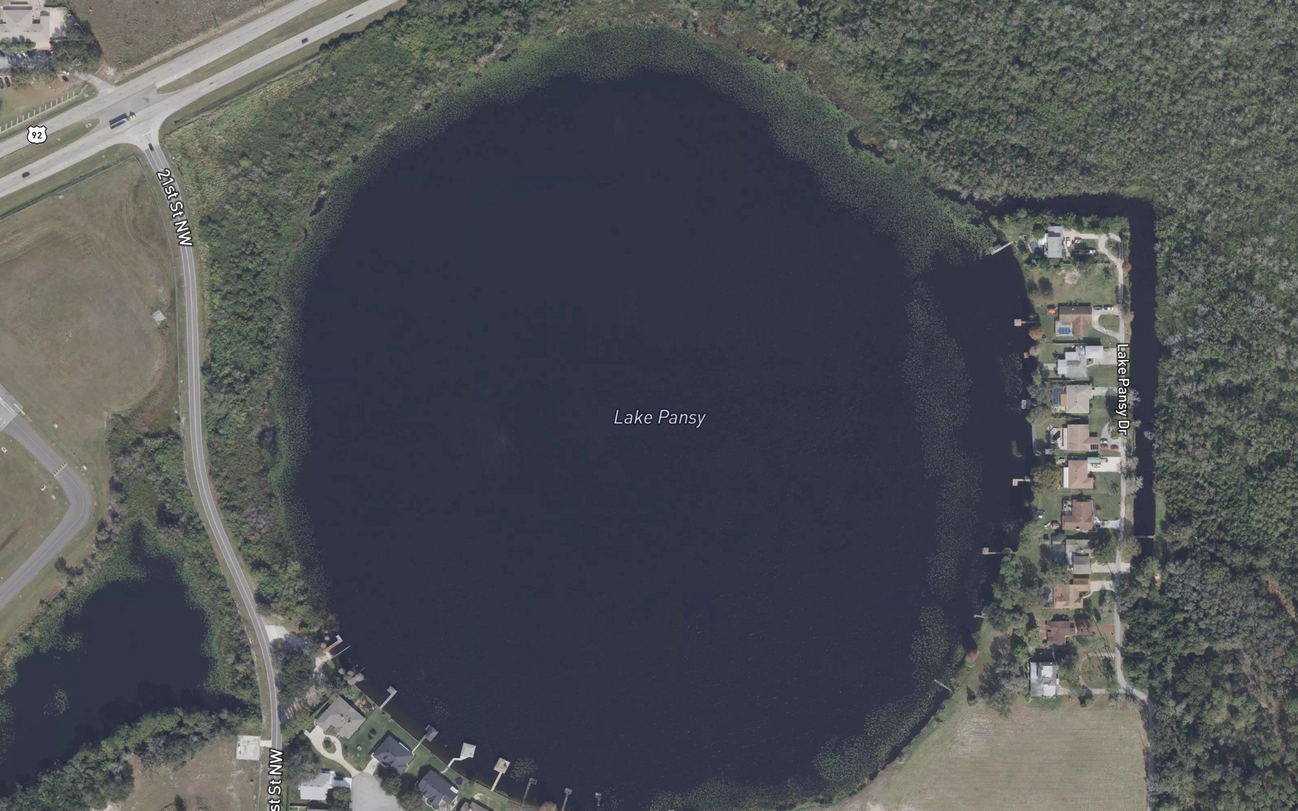 Lake Pansy