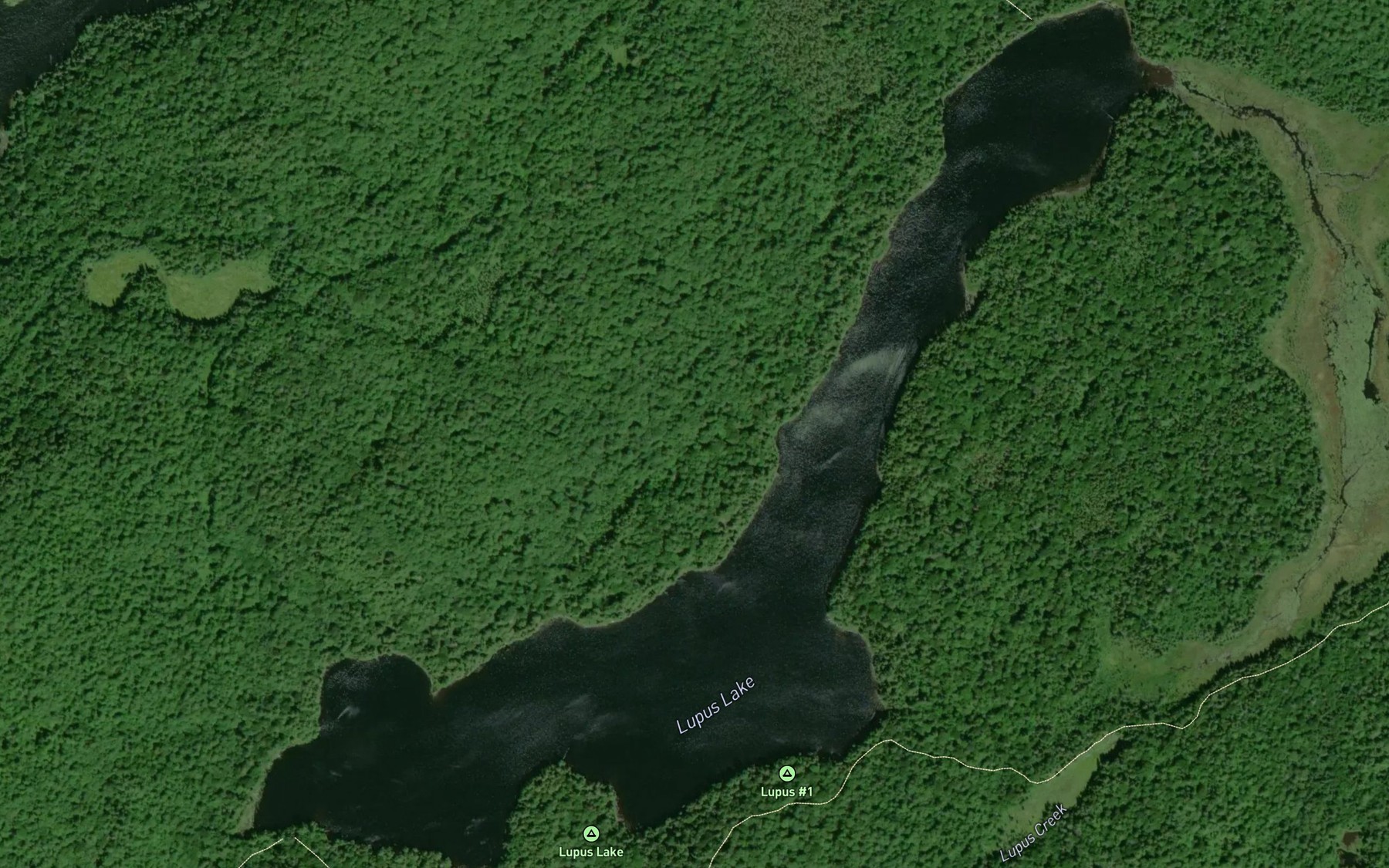 Satellite map of the Lupus Lake
