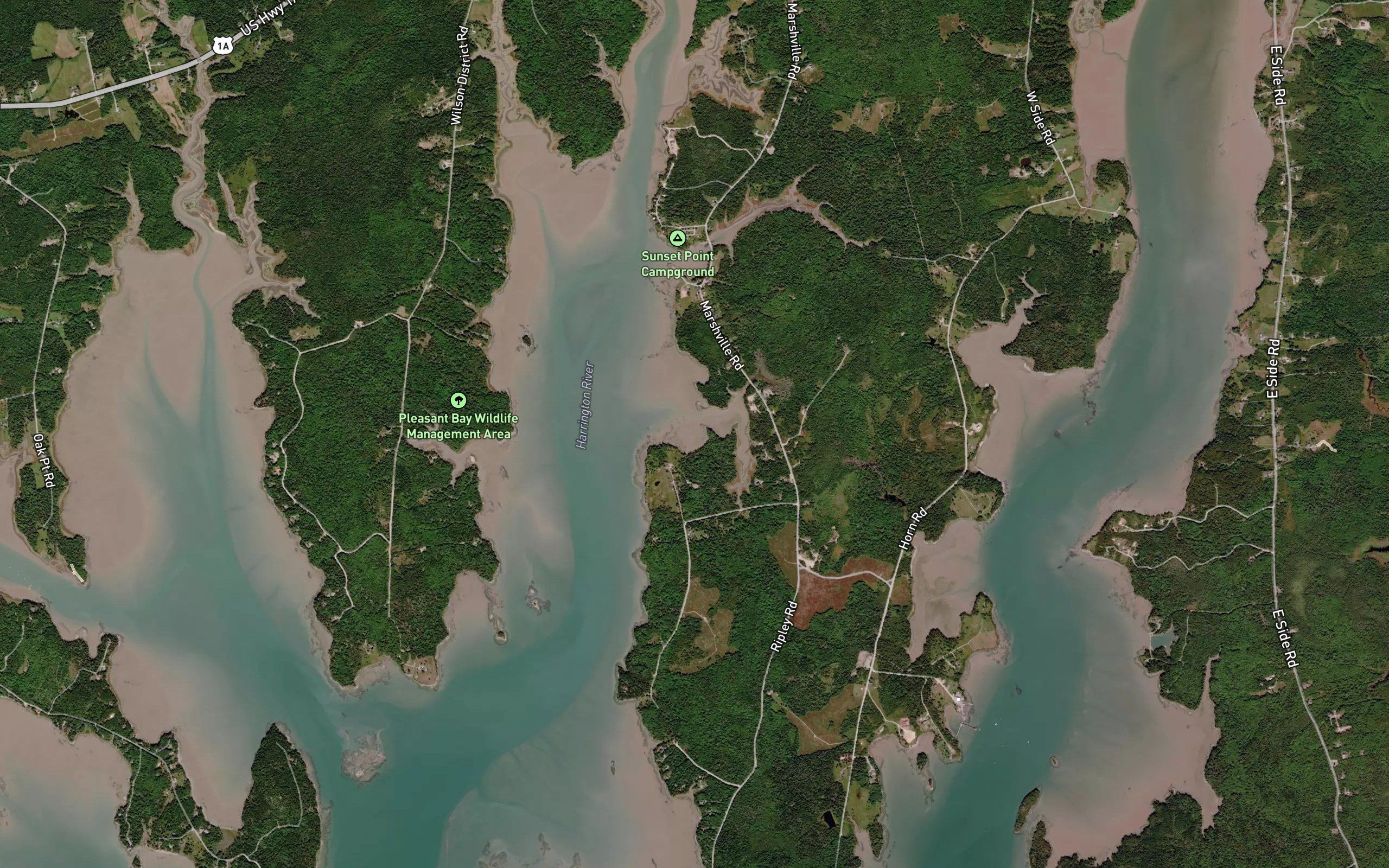 Timber Cove