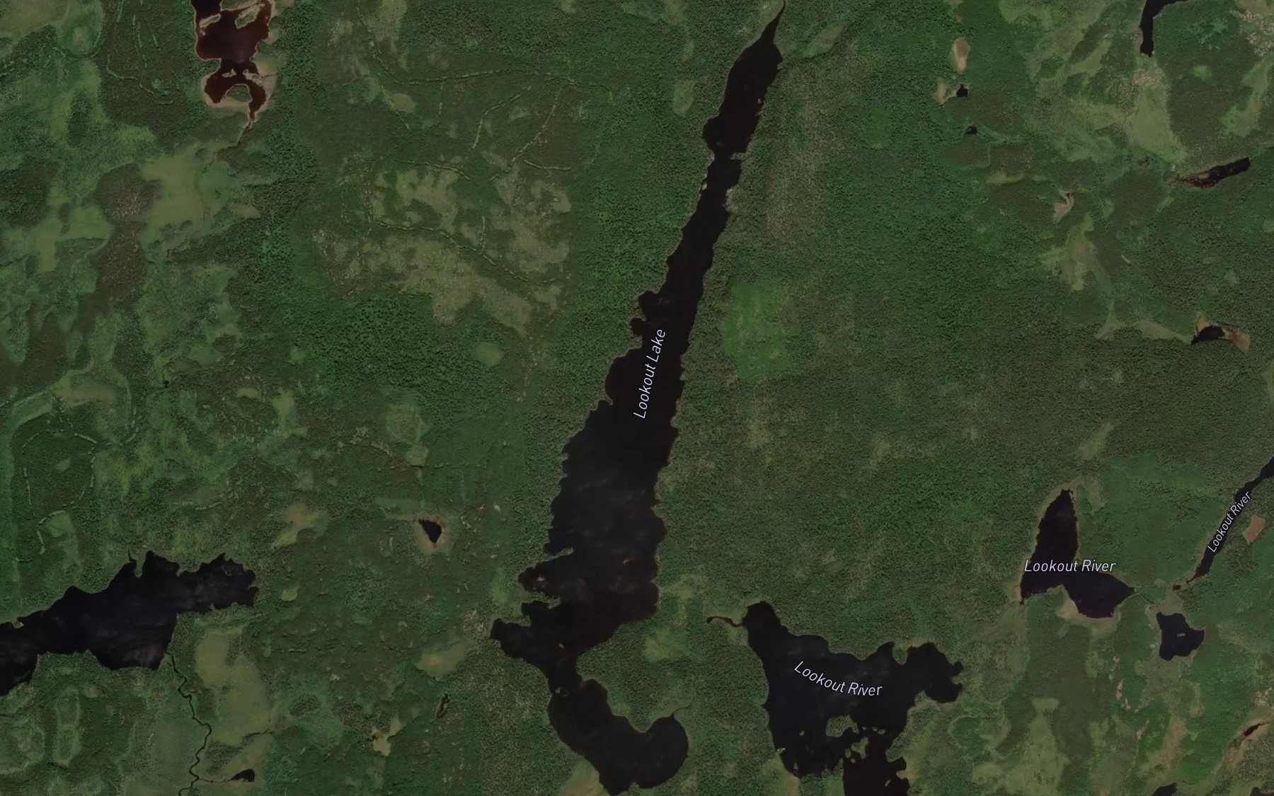 Satellite map of the Lookout Lake
