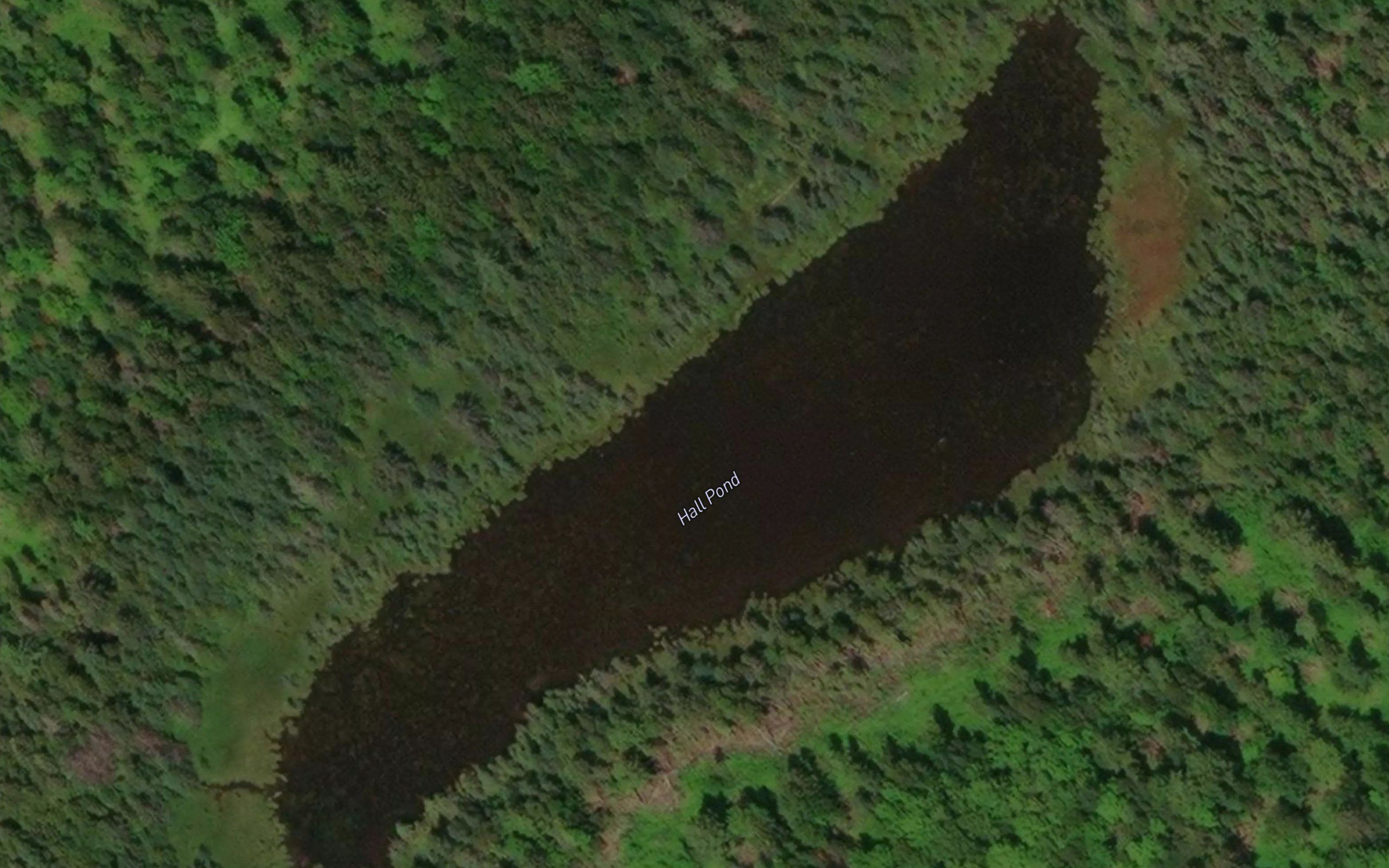 Hall Pond