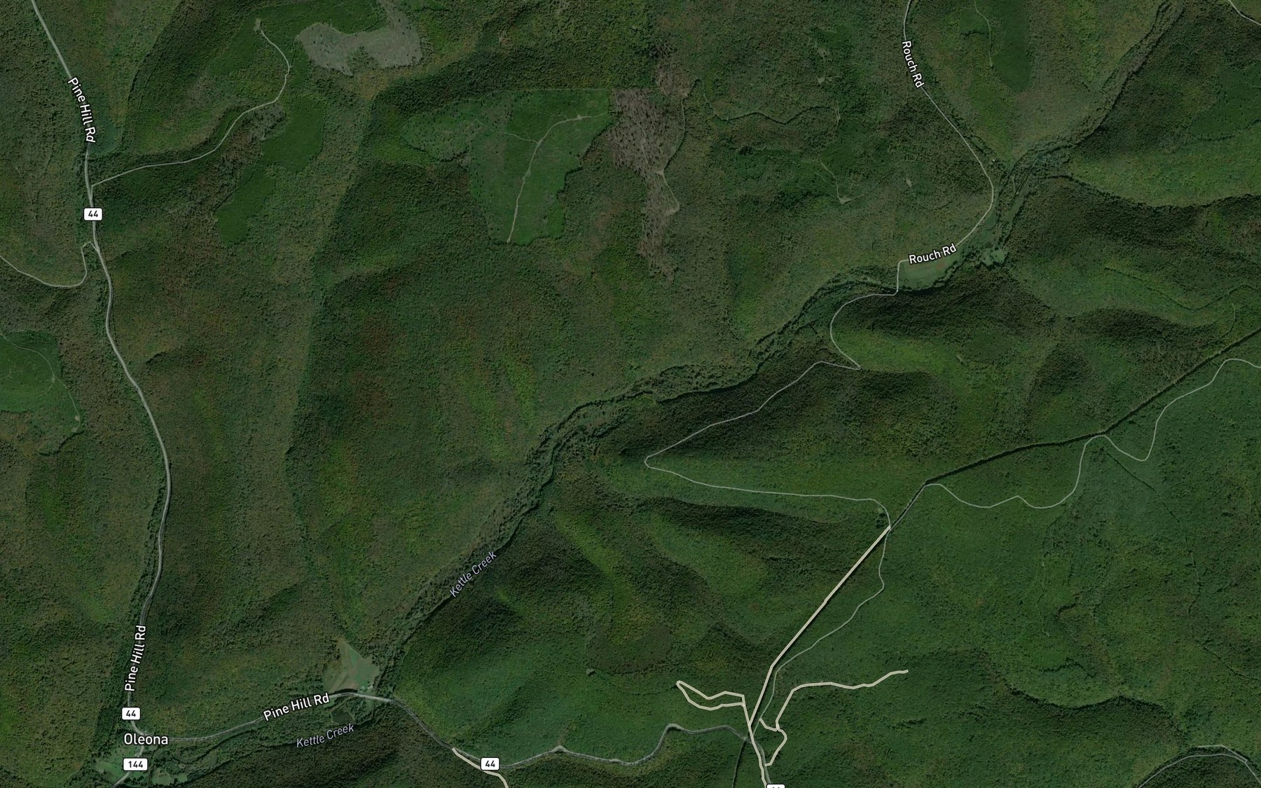 Satellite map of the Silver Run