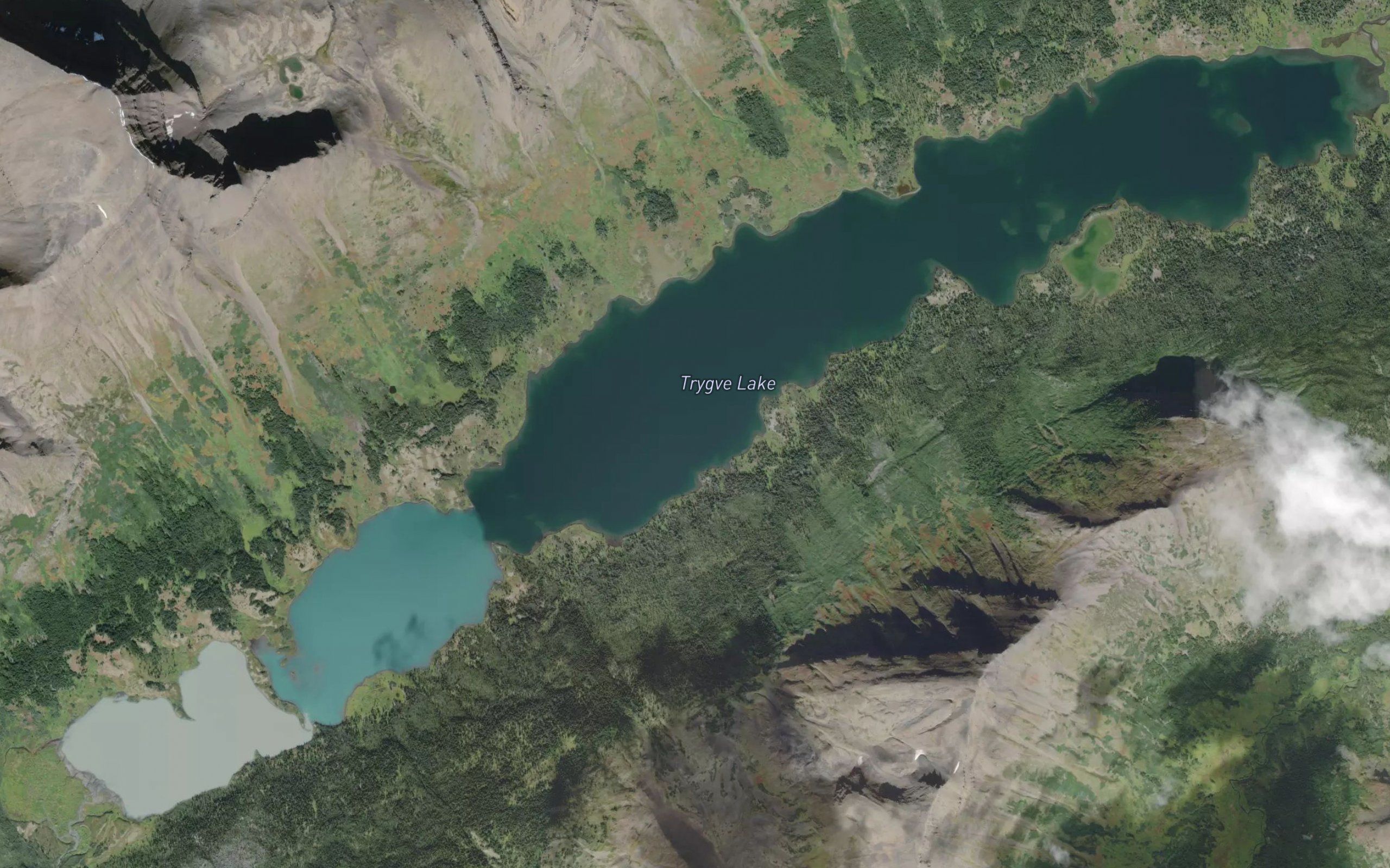 Trygve Lake