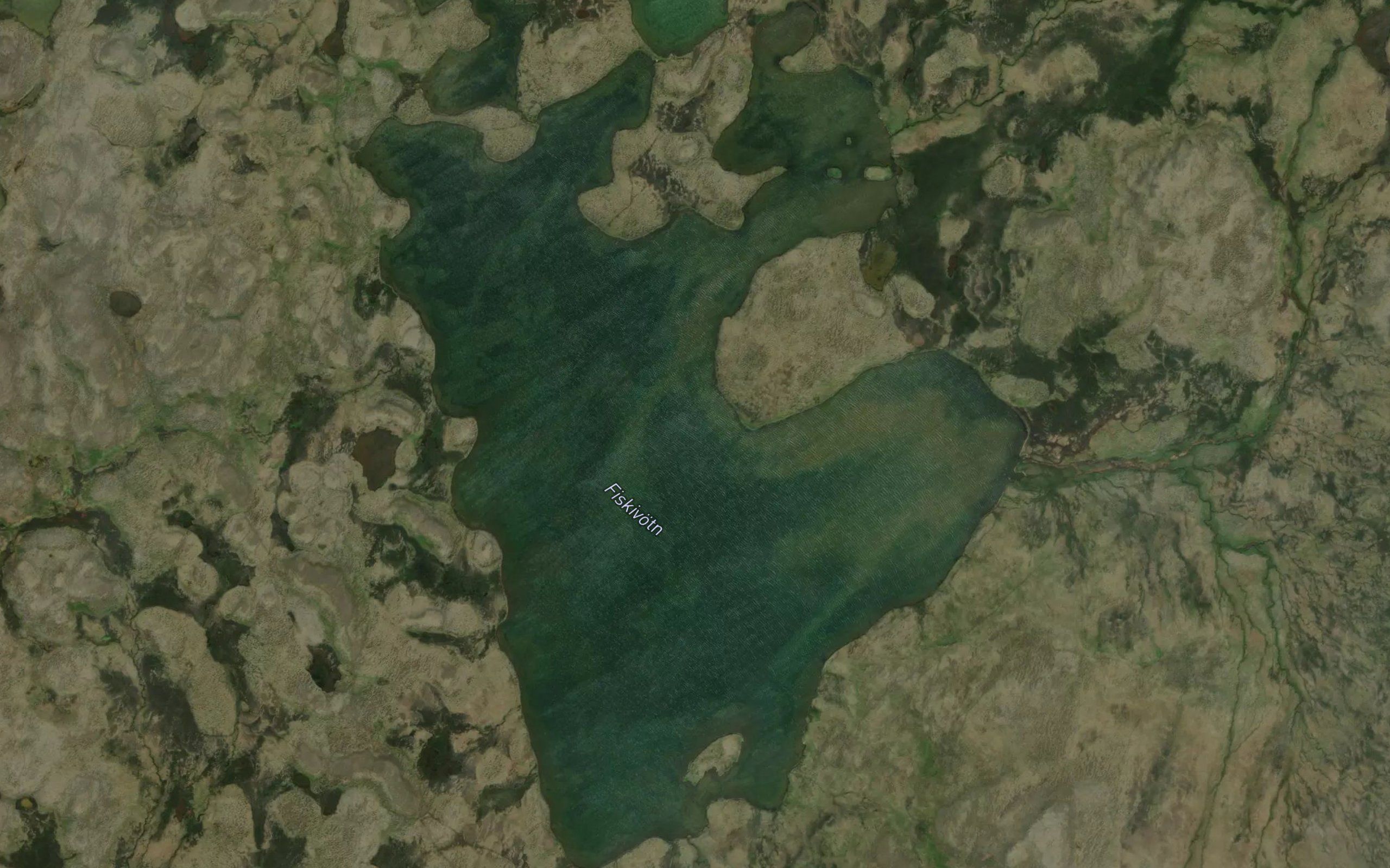 Fiskivotn