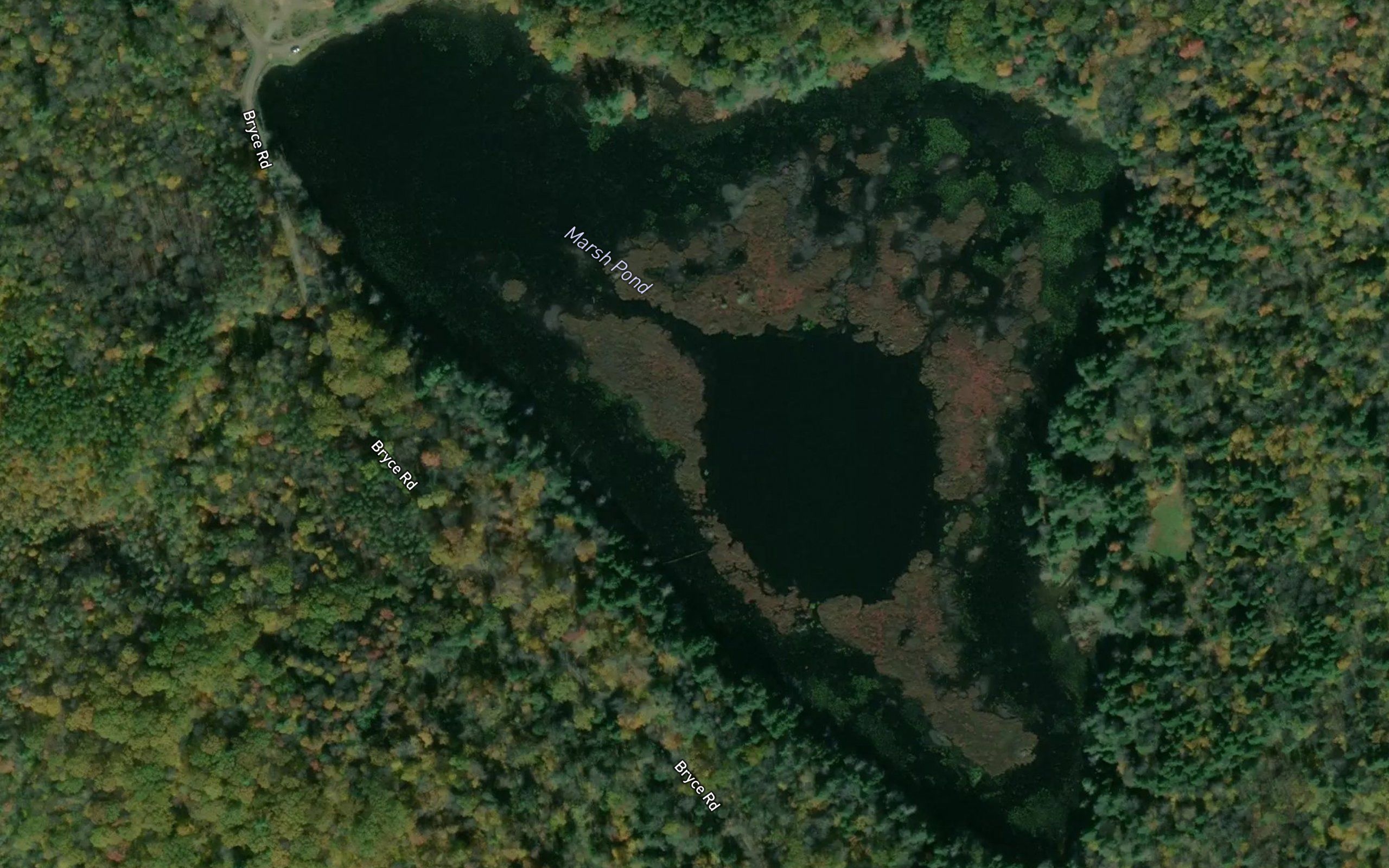 Marsh Pond