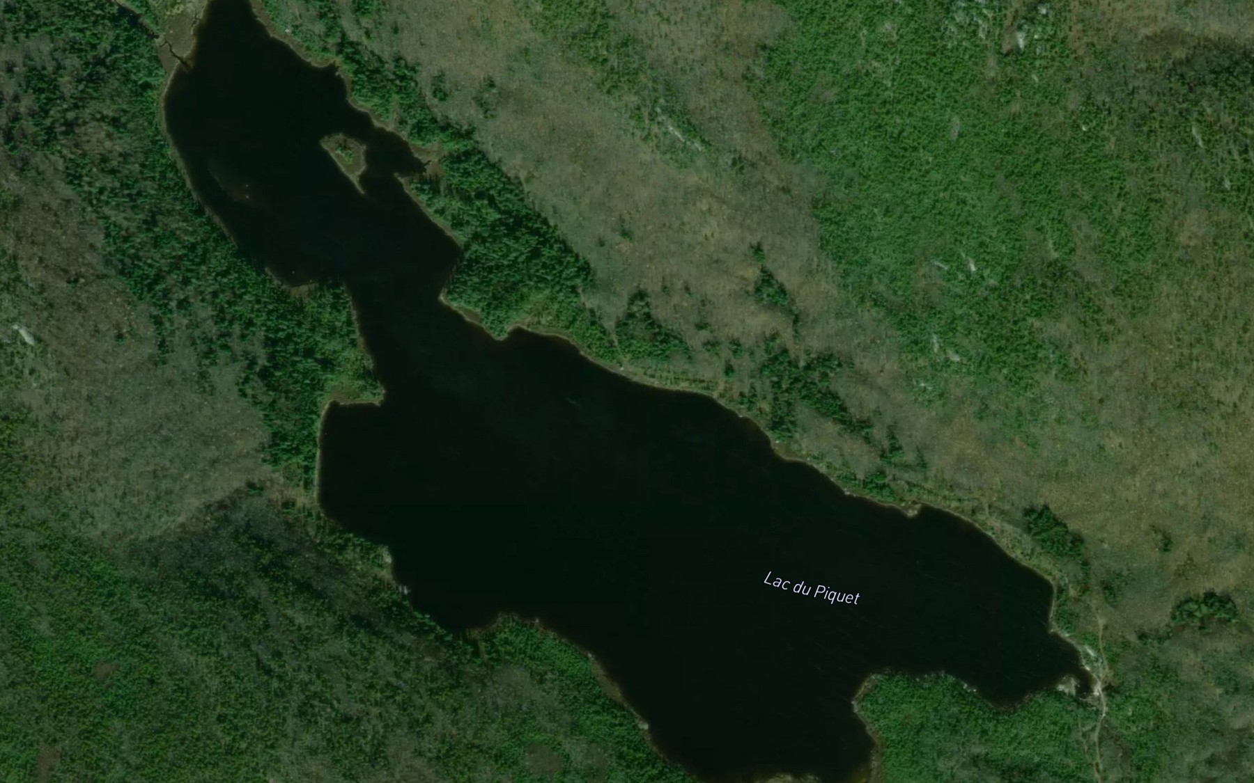 Satellite map of the Lac du Piquet