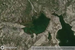 Aursjotjorni