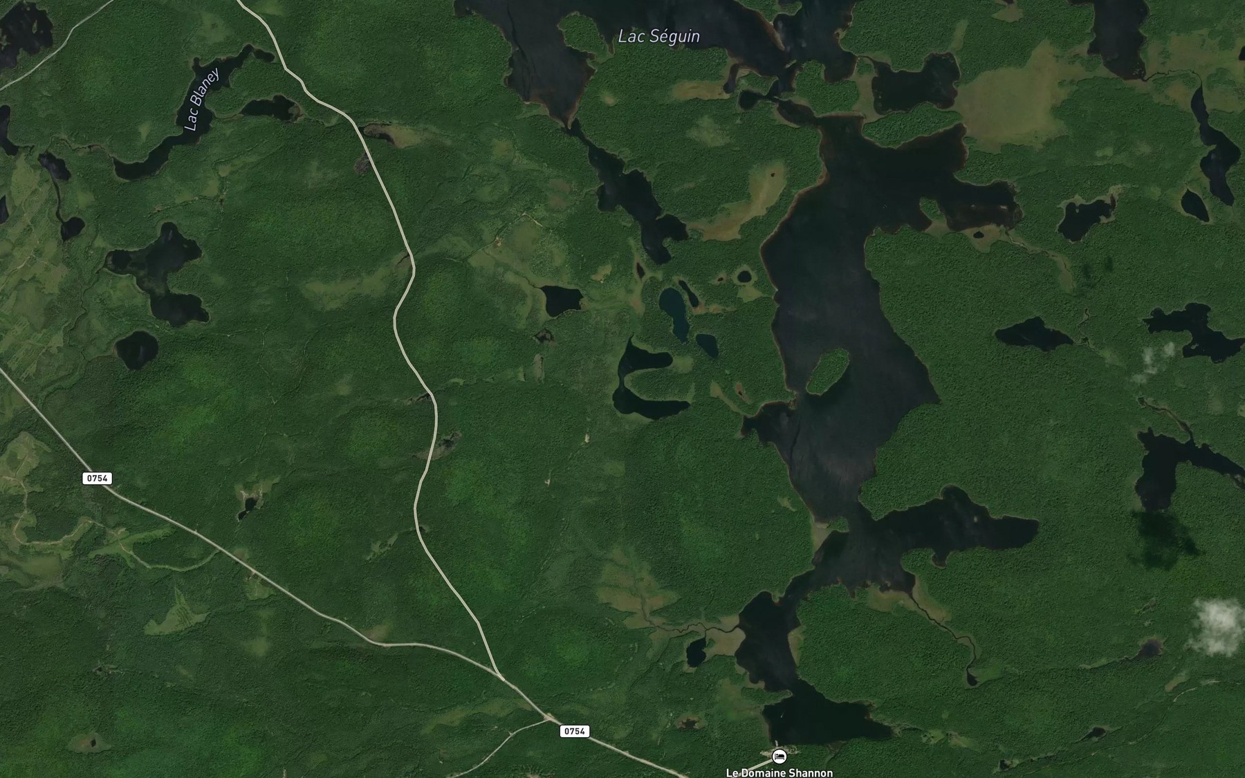 Satellite map of the Lac Lebeau