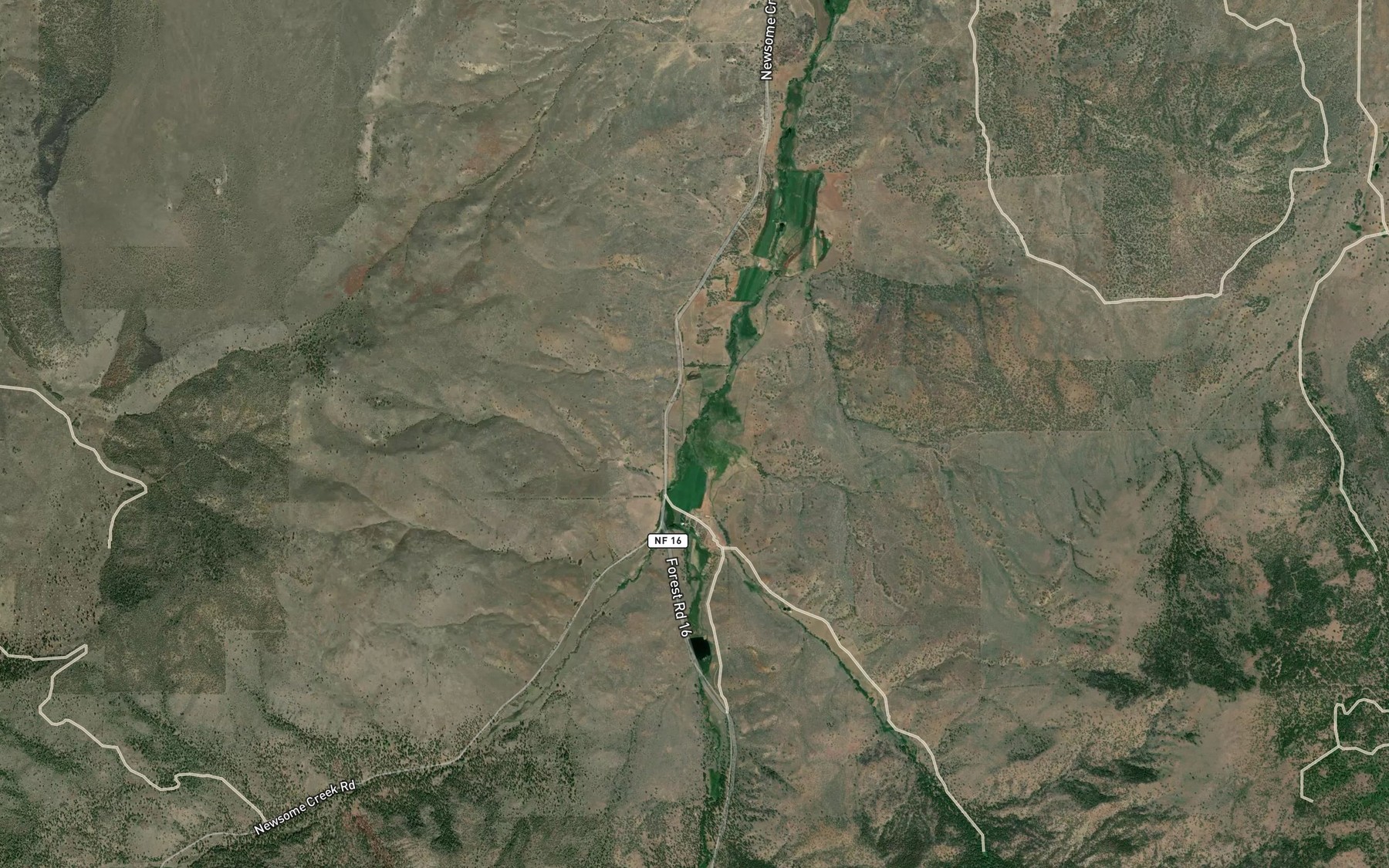 Satellite map of the Hammer Creek