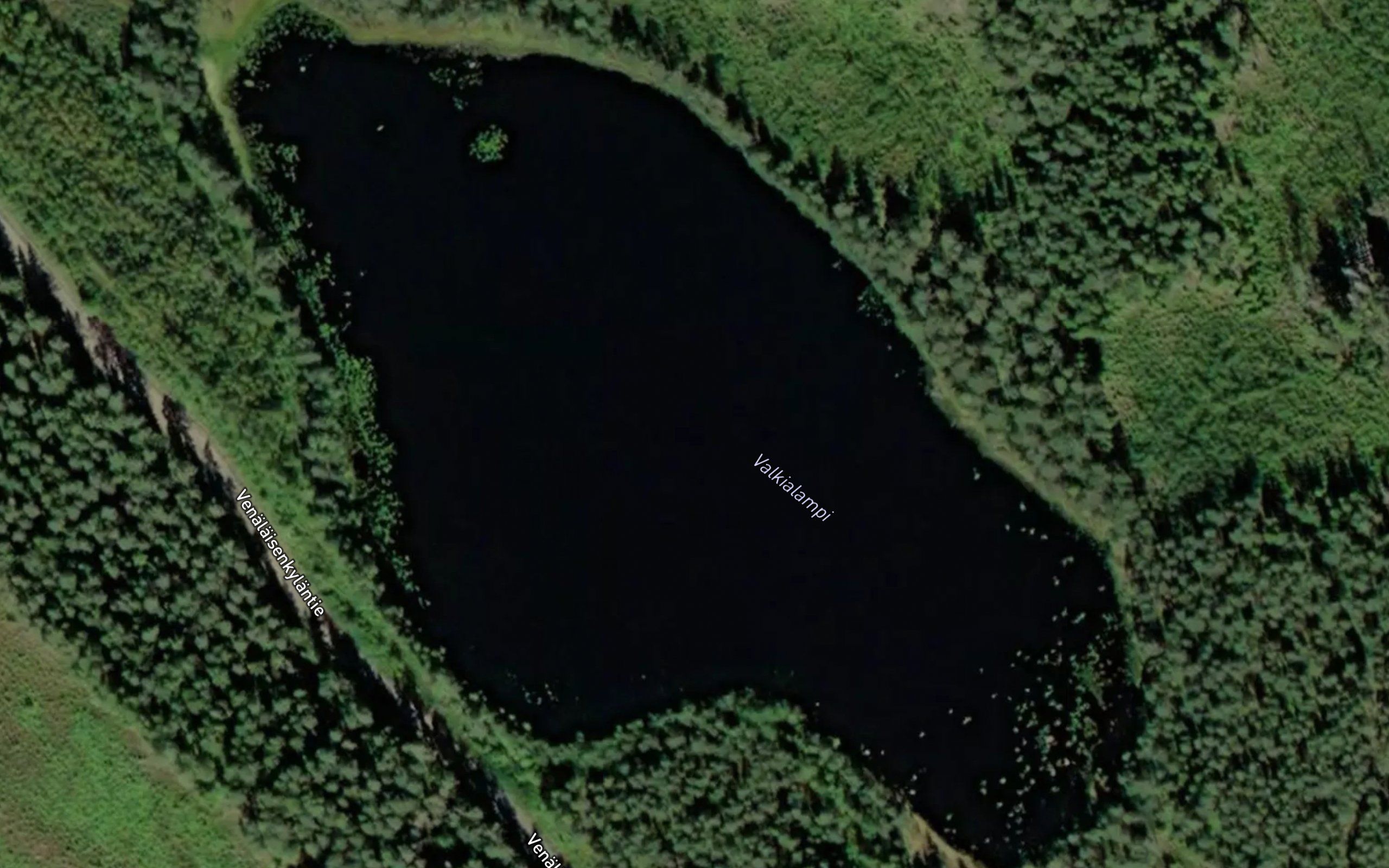 Valkialampi