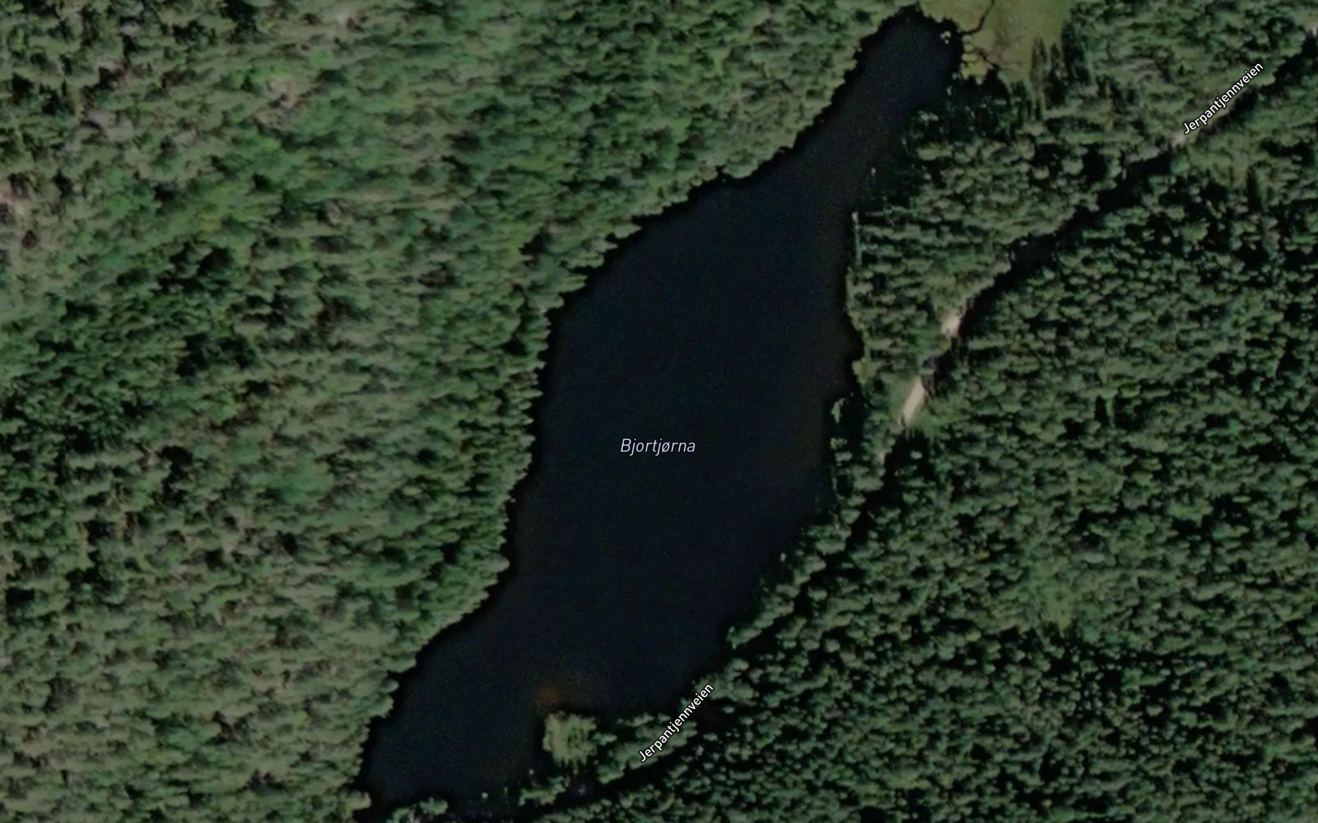 Bjortjorna