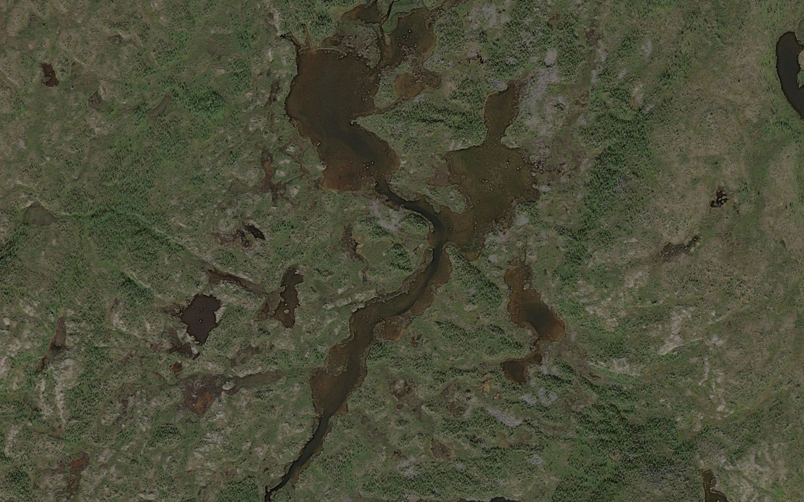 Vuostamusluobbalat