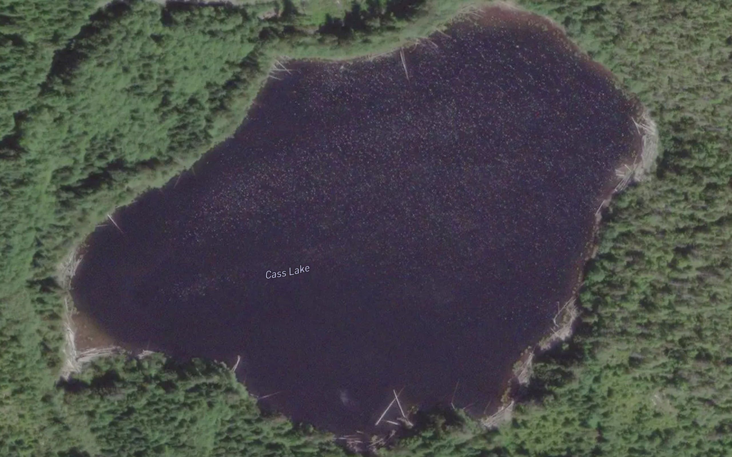 Cass Lake