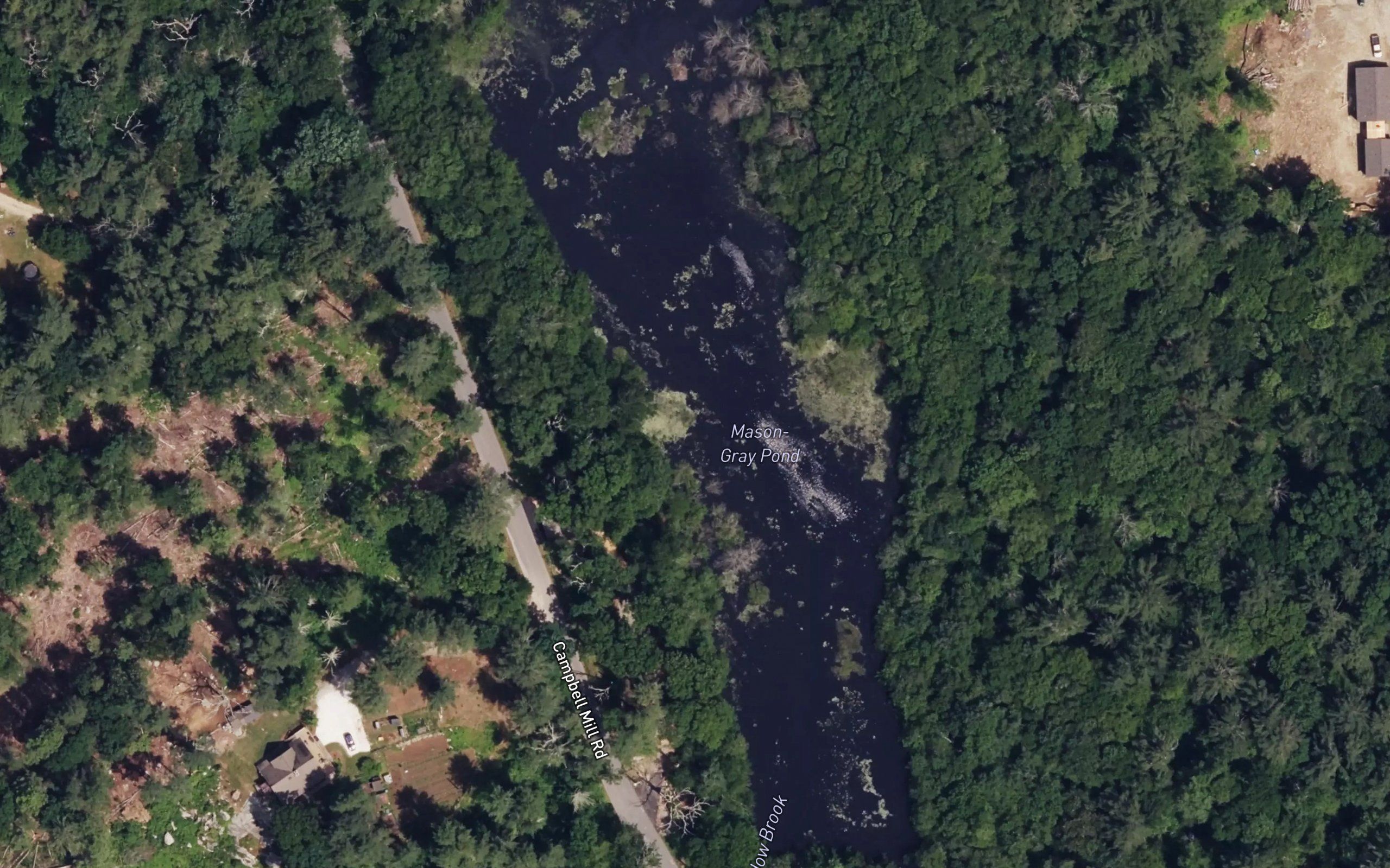 Mason-Gray Pond
