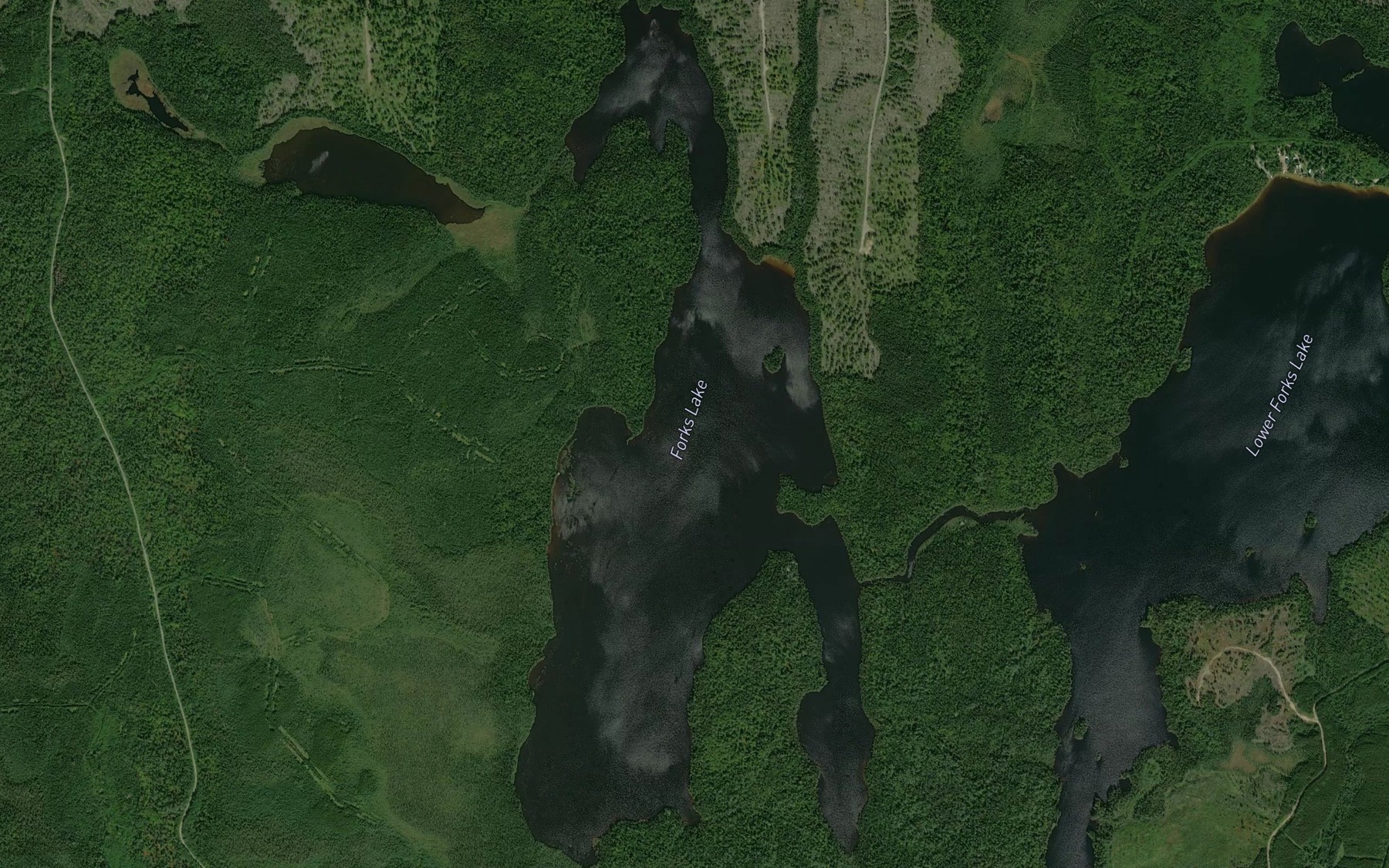 Satellite map of the Forks Lake