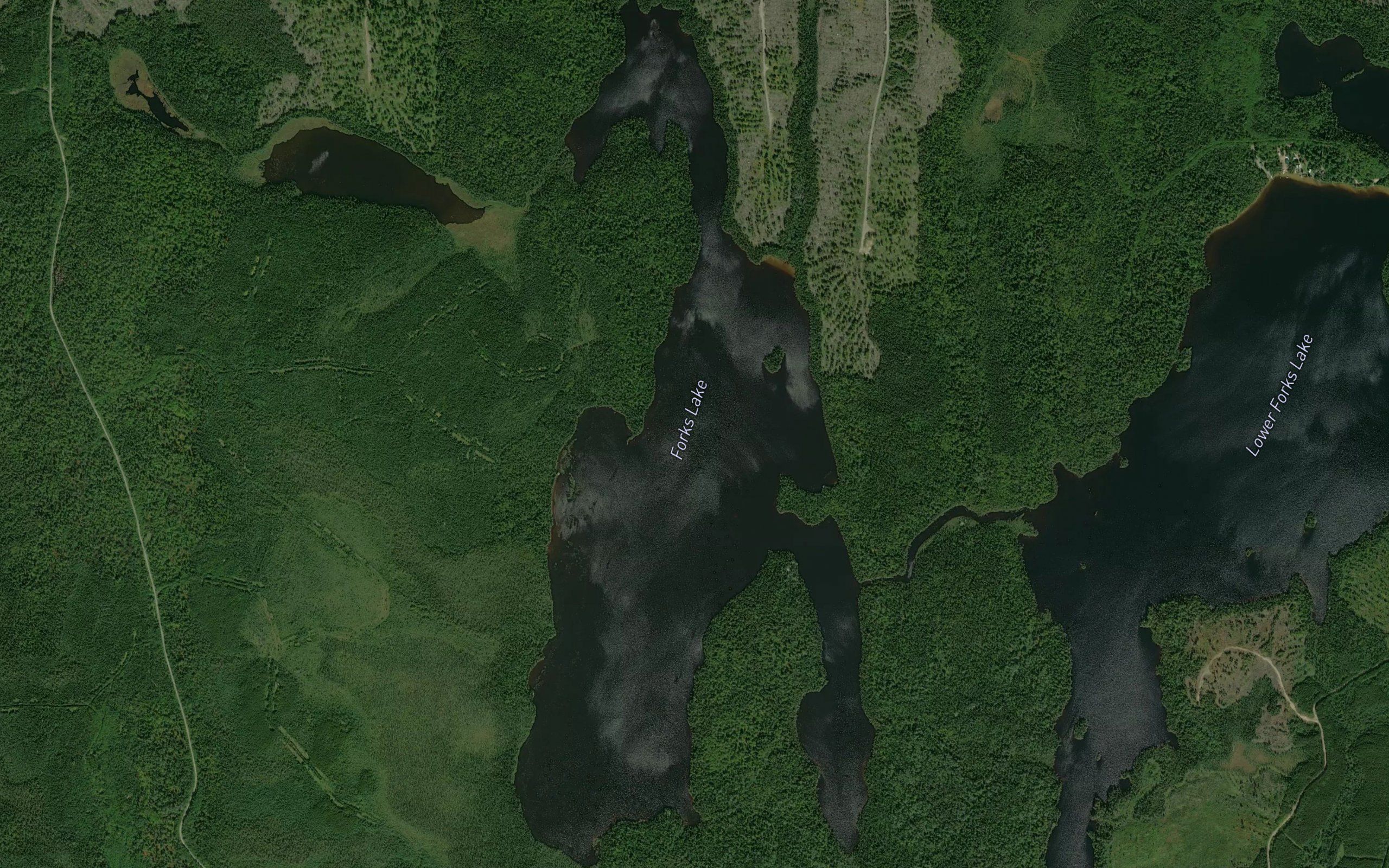 Forks Lake