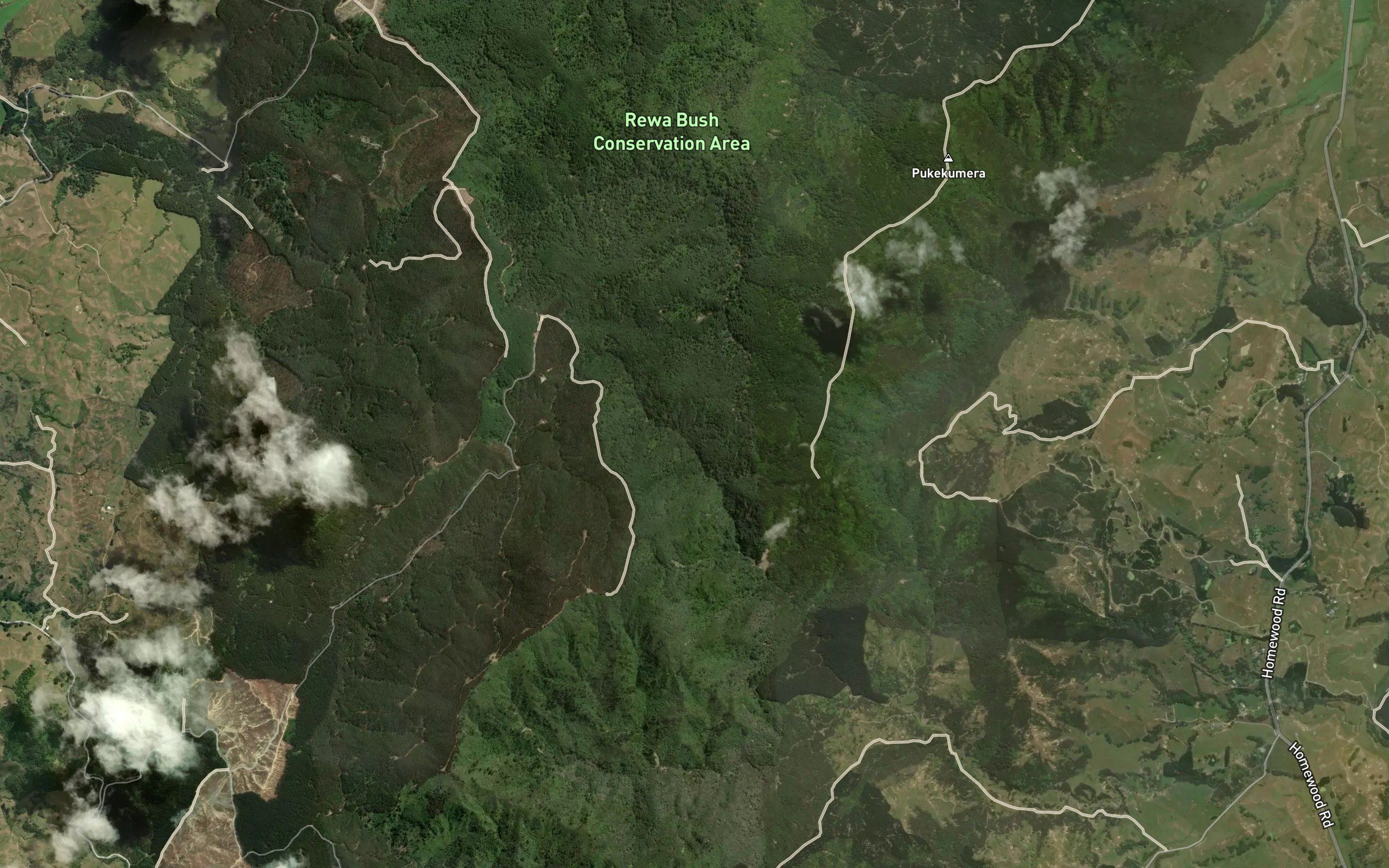 Motuwaireka Stream