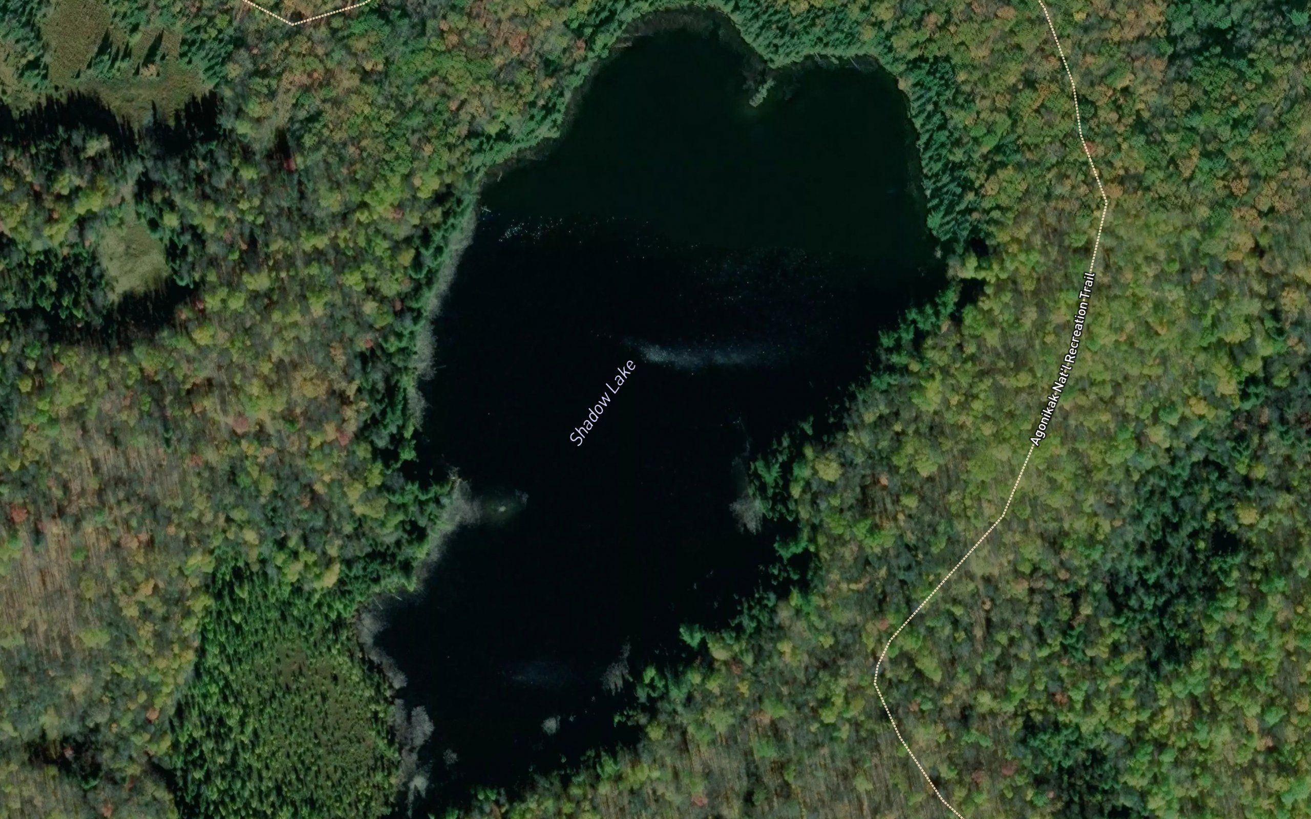 Shadow Lake