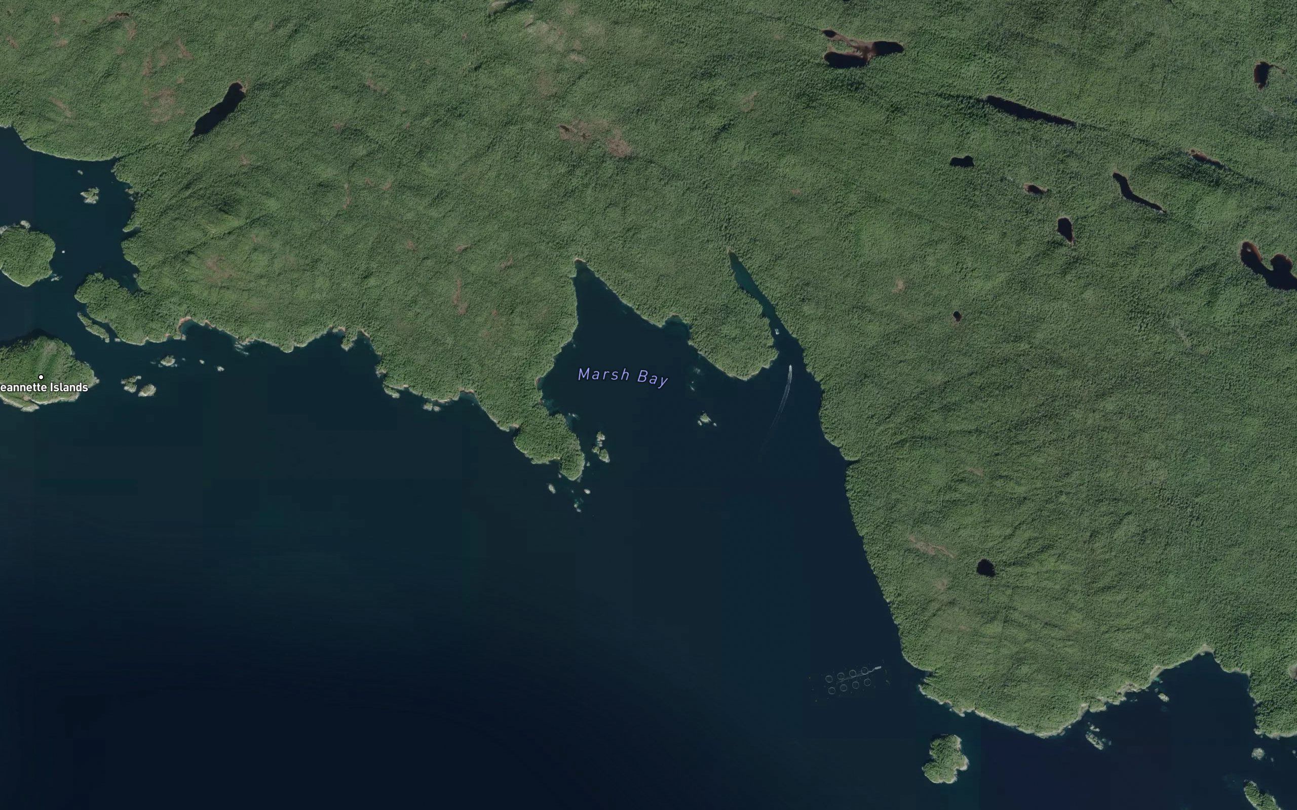 Marsh Bay