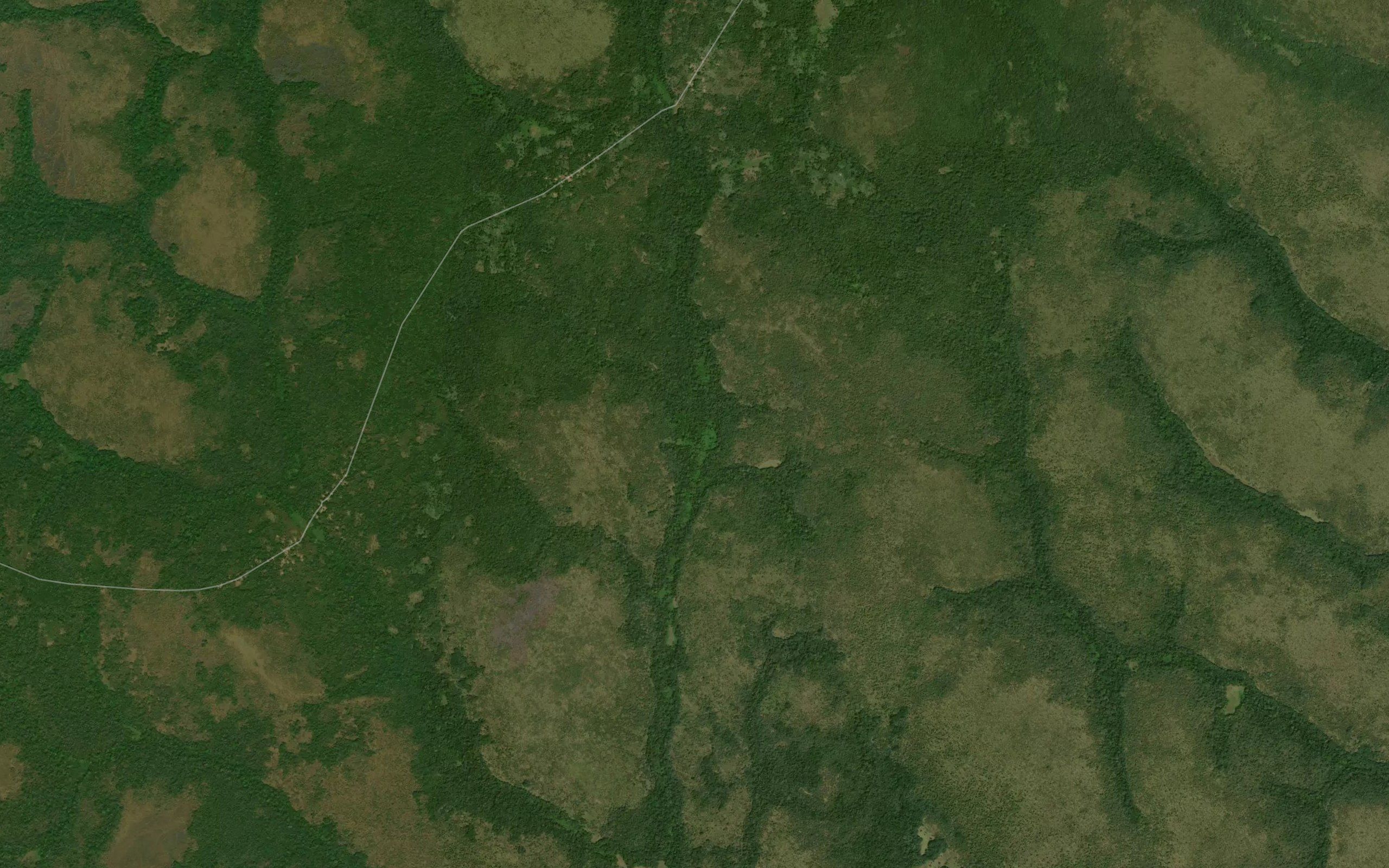 Nangungwa