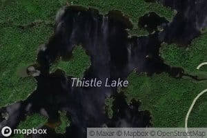 Thistle Lake