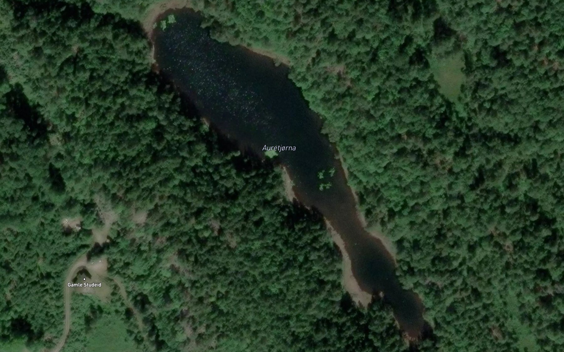 Satellite map of the Auretjorna