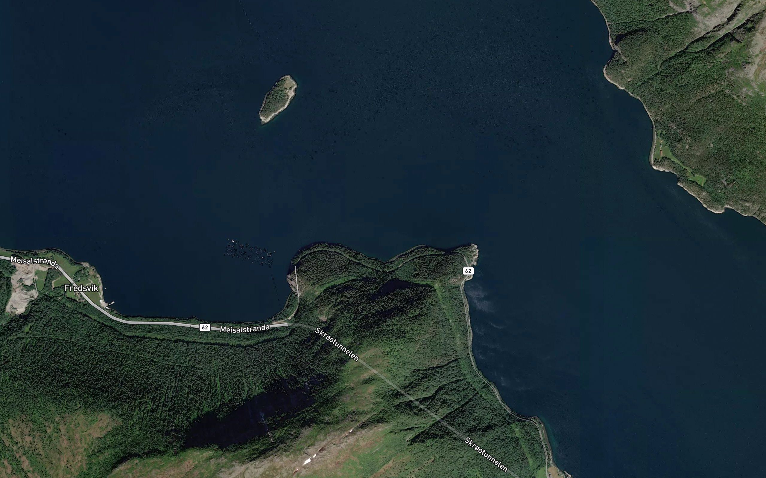 Altervika