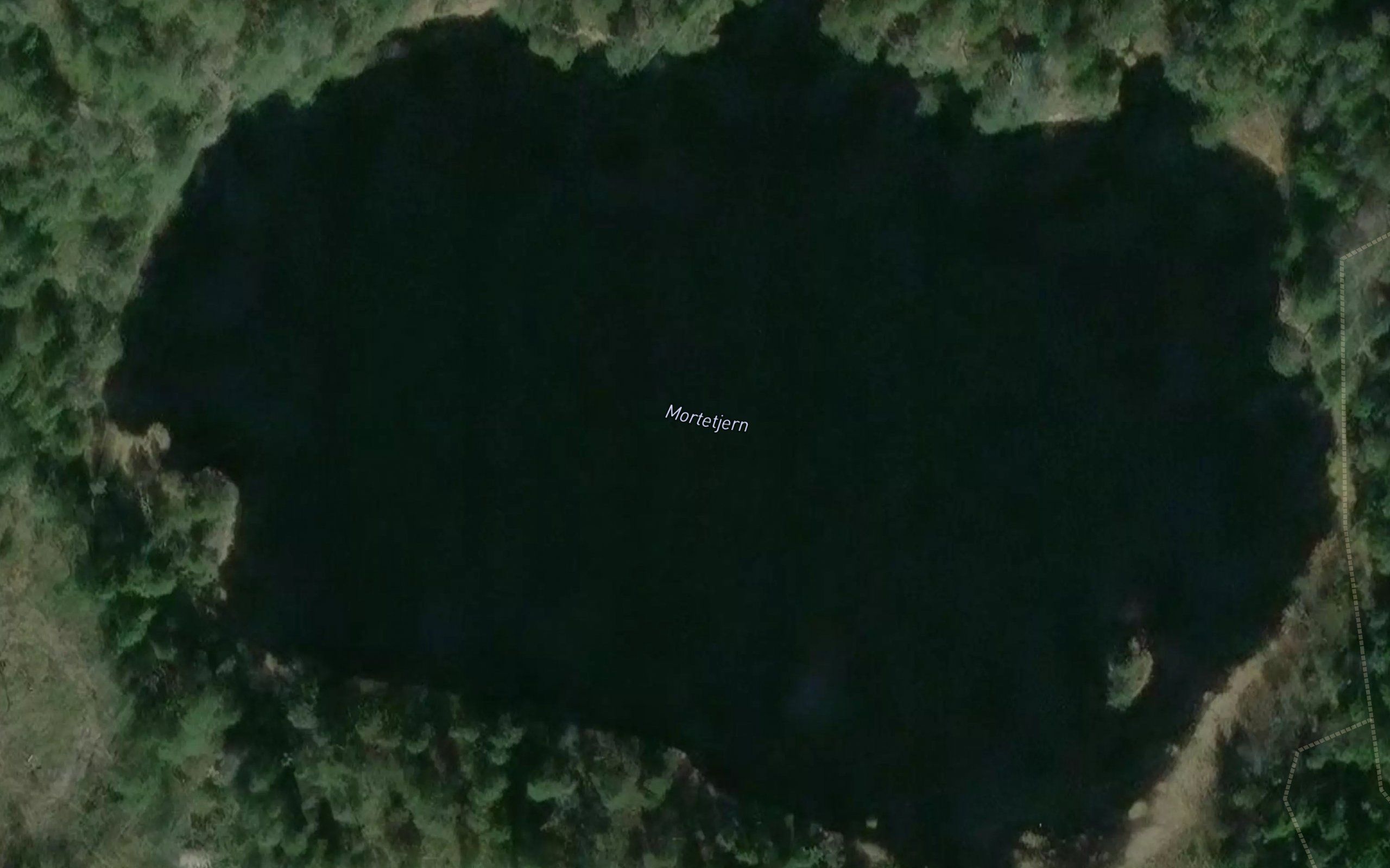 Mortetjern