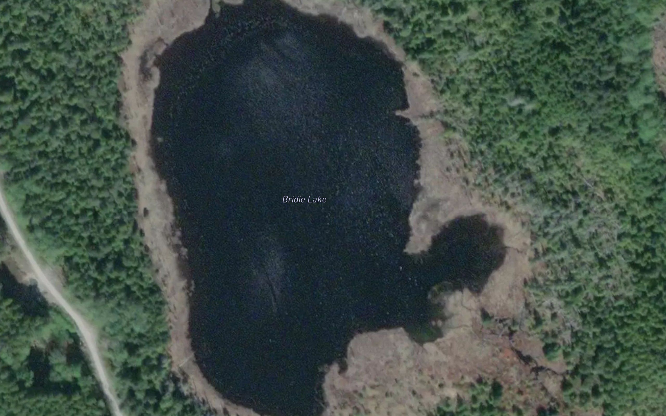 Bridie Lake