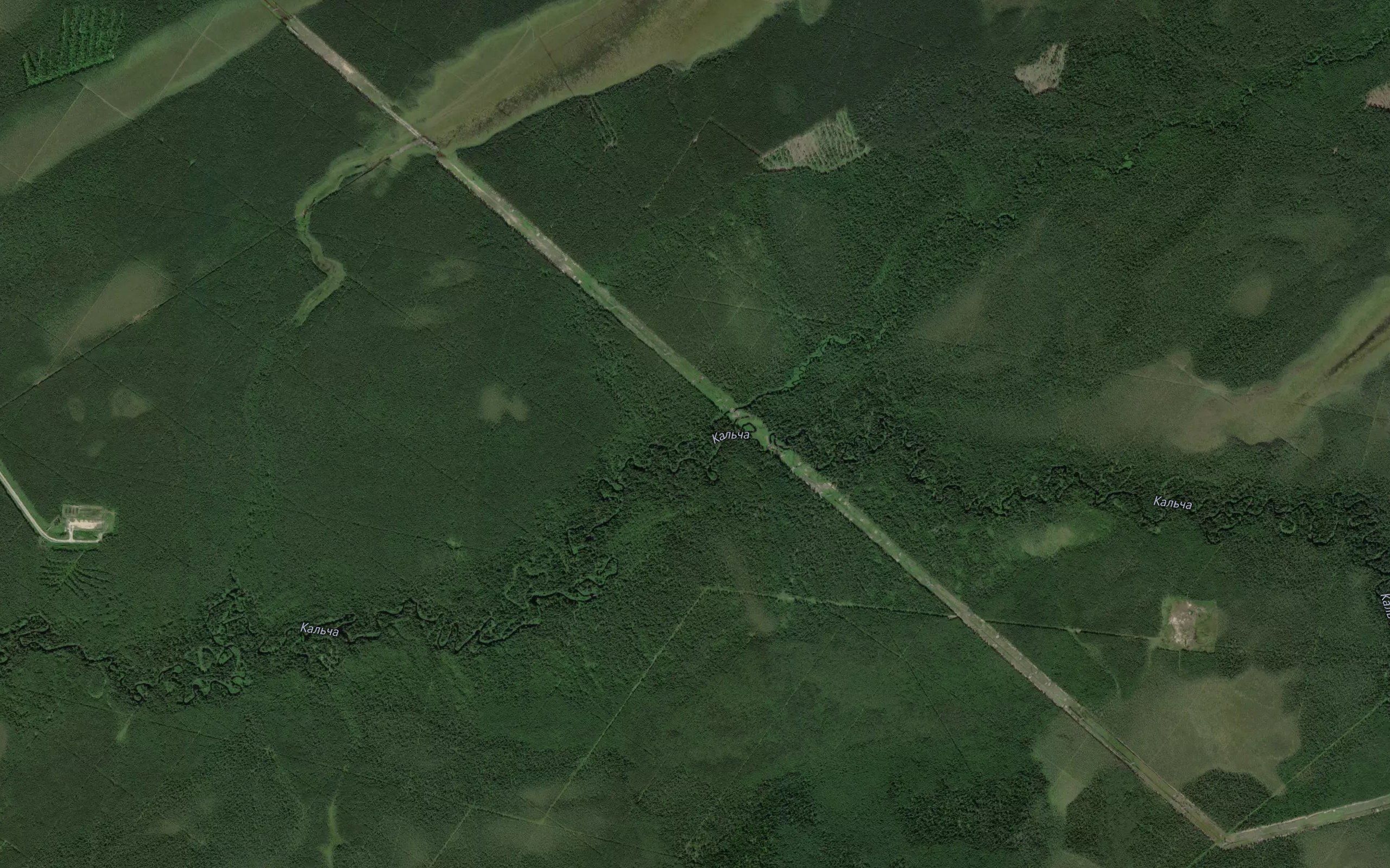 Vyzhimbit