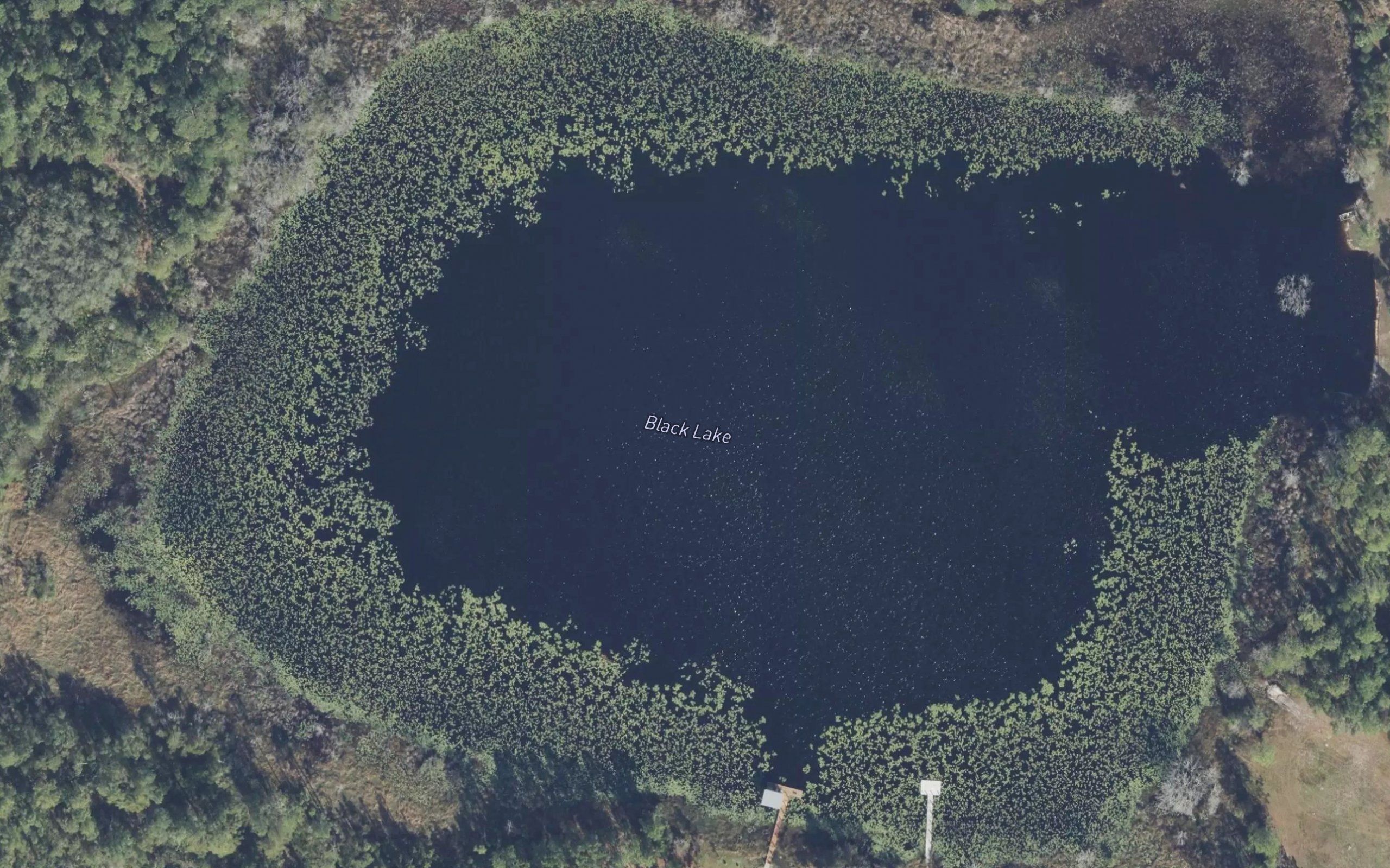 Black Lake