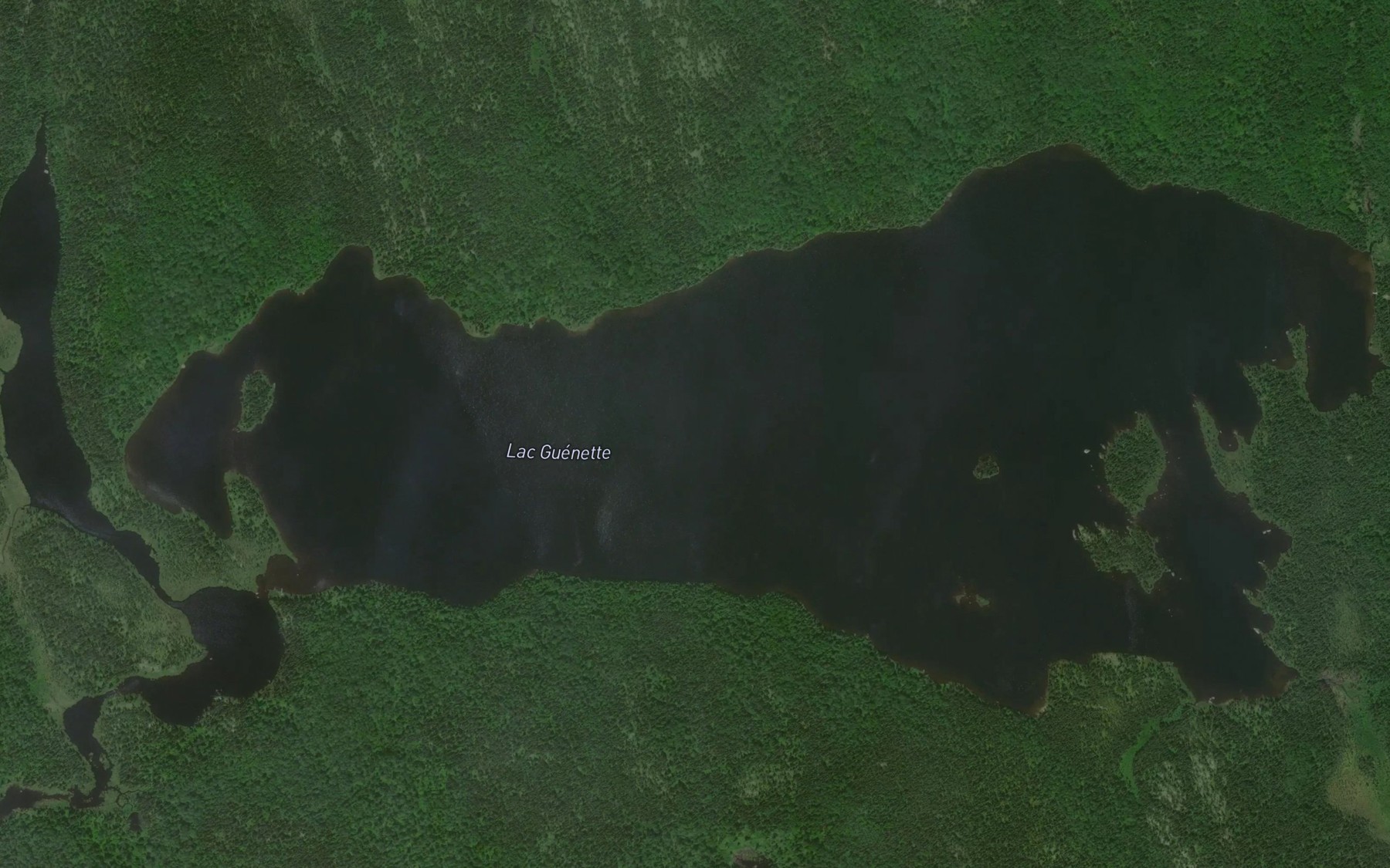 Satellite map of the Lac Guenette