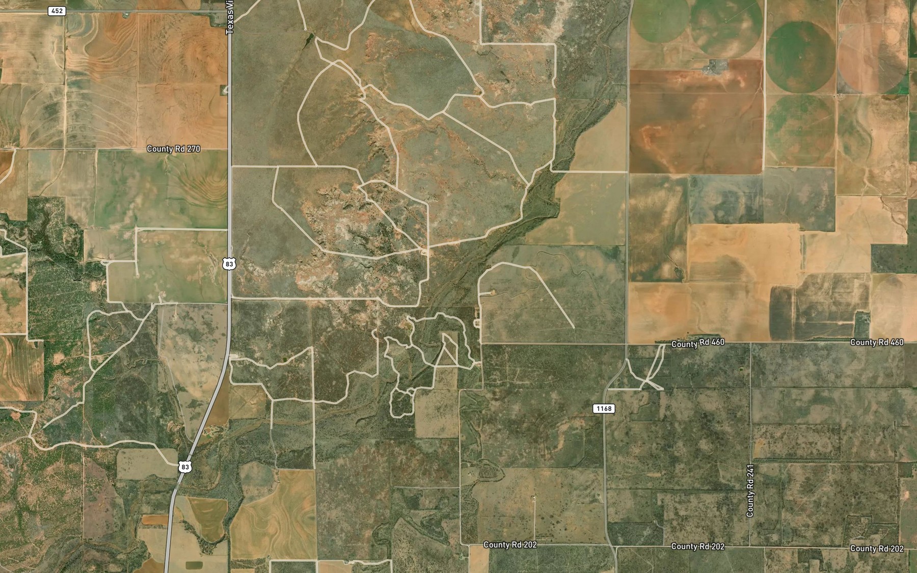 Satellite map of the Buford Branch