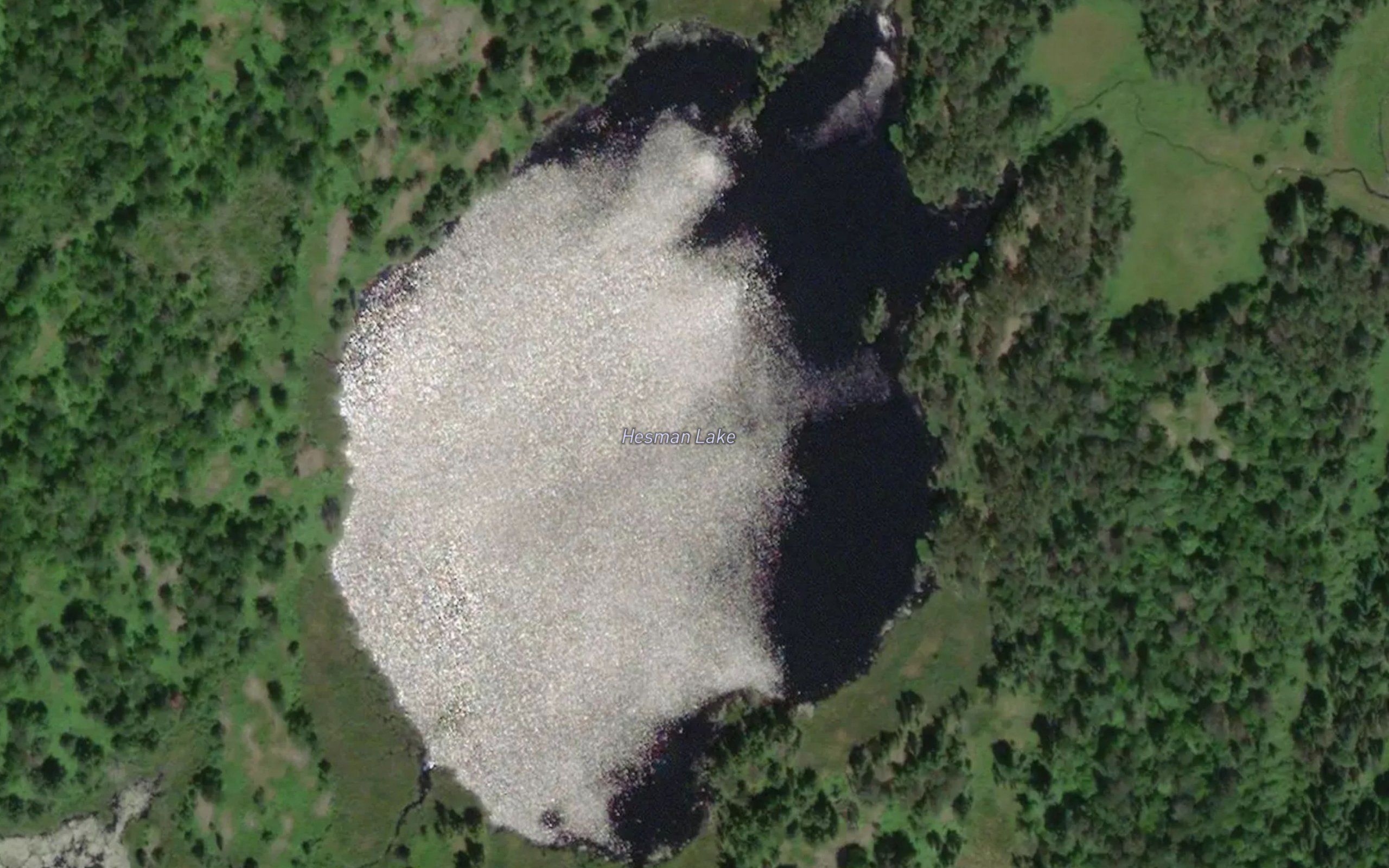 Hesman Lake