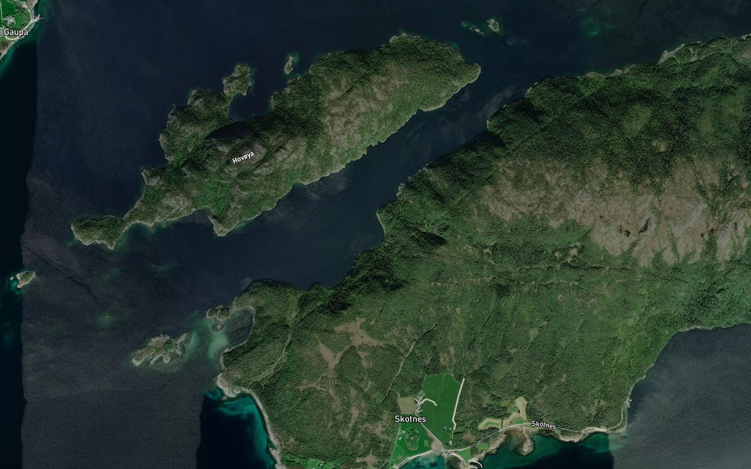Storskavvika
