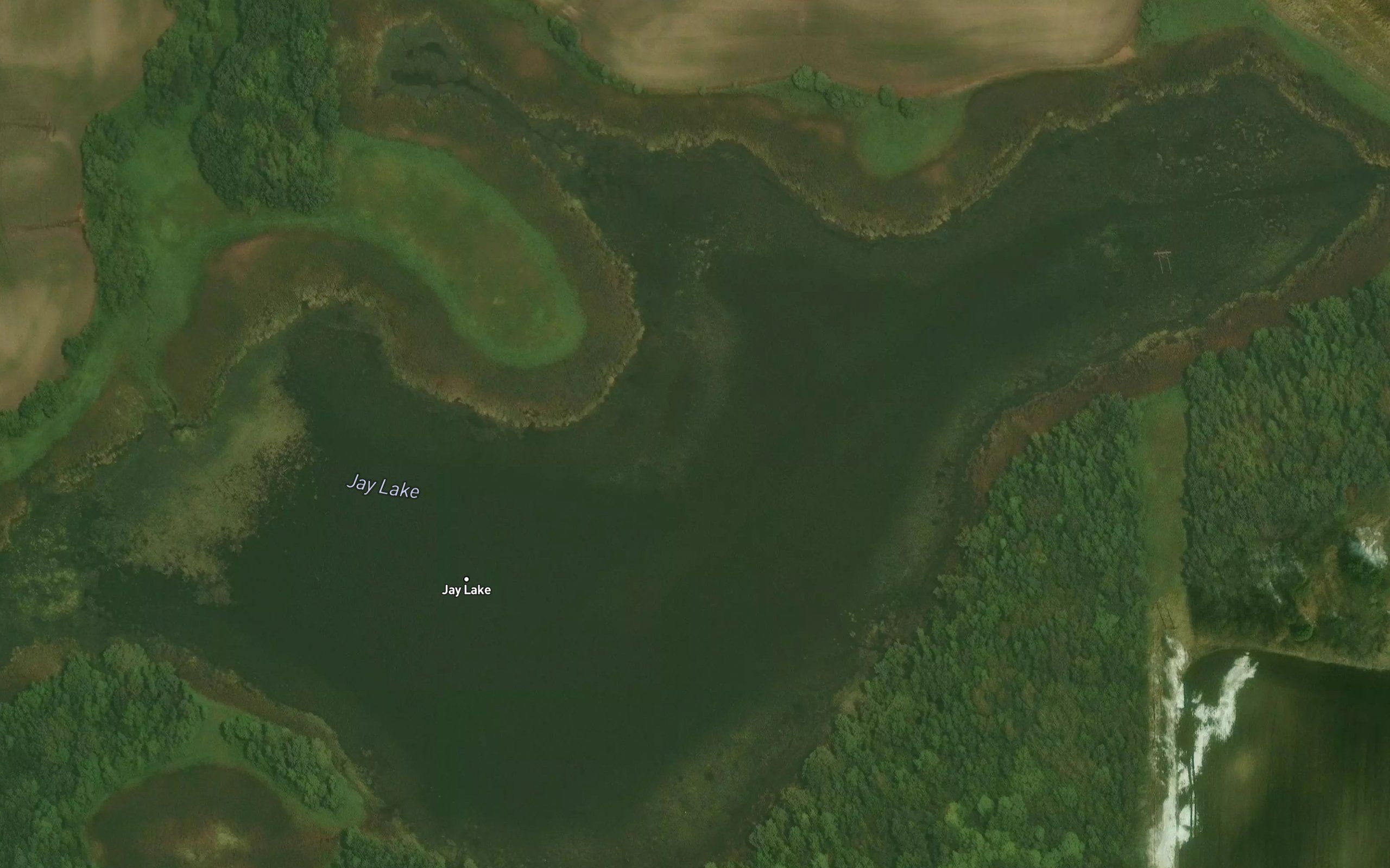 Jay Lake