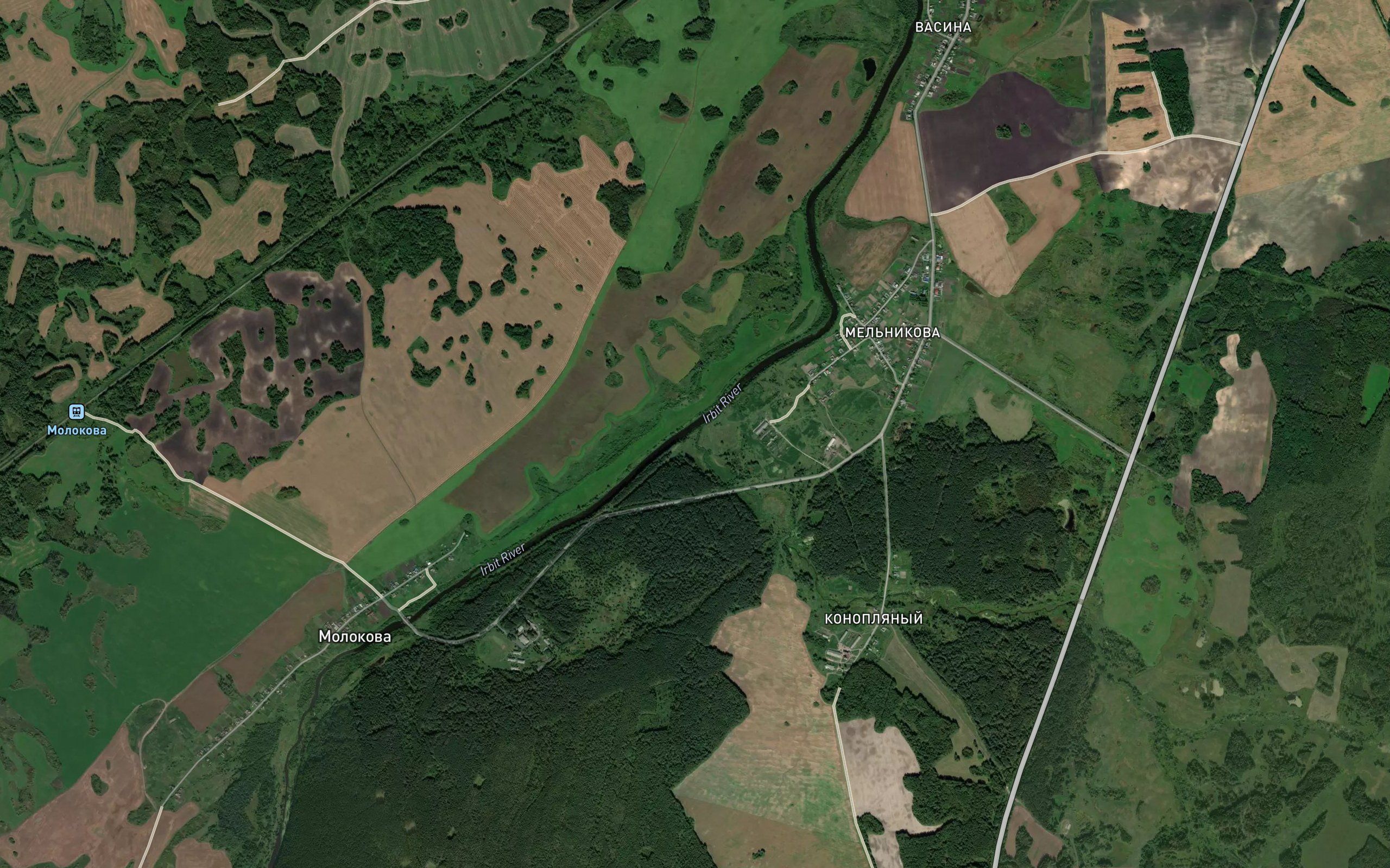 Borovaya