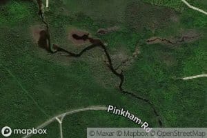 Willard Brook