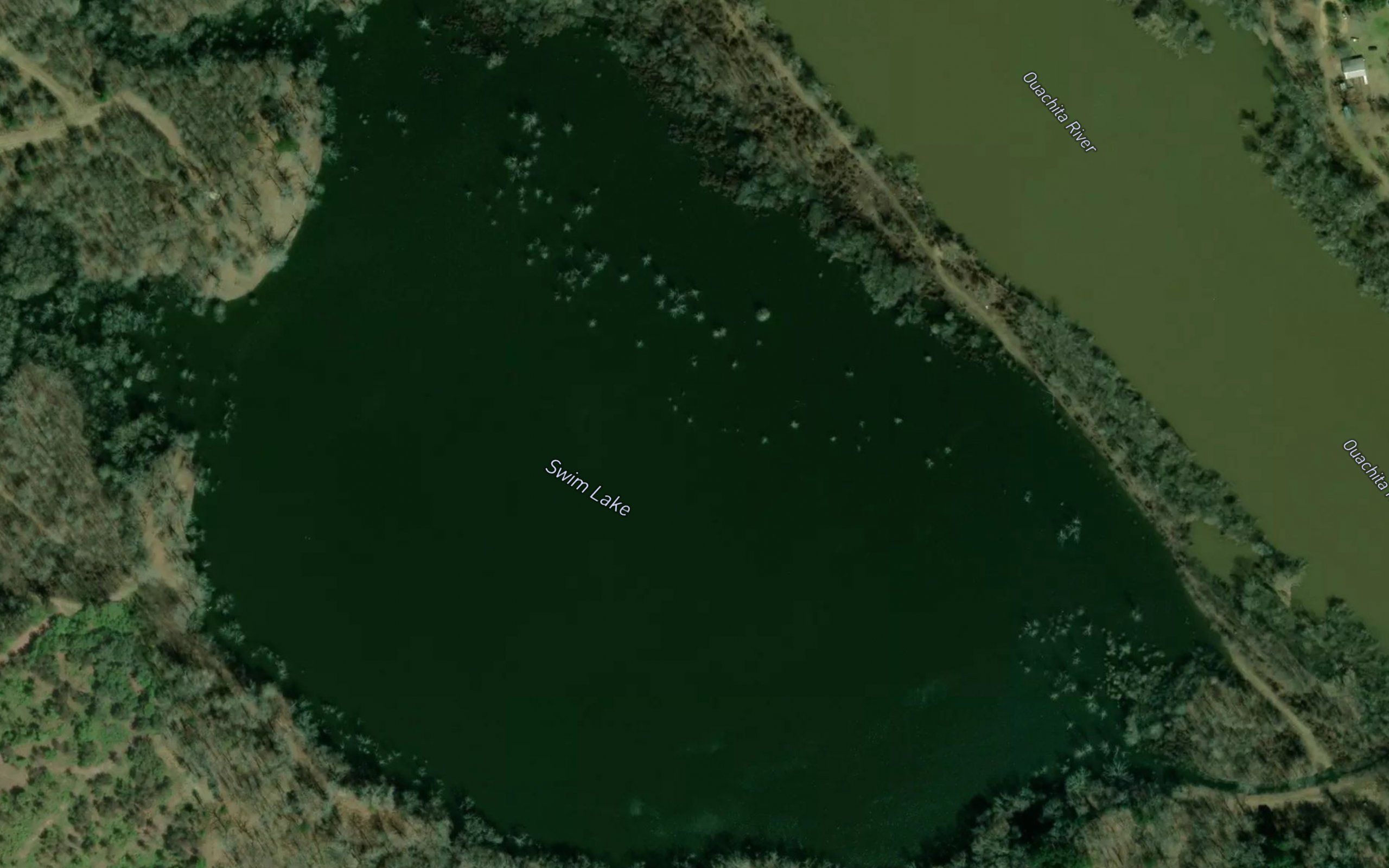 Swim Lake