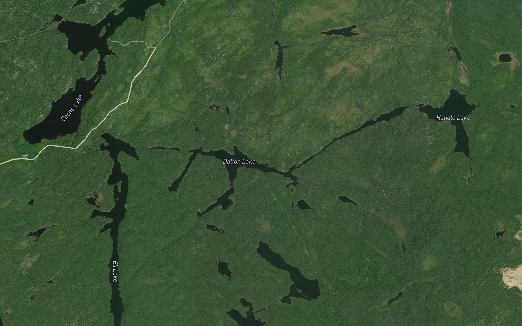 Satellite map of the Dalton Lake