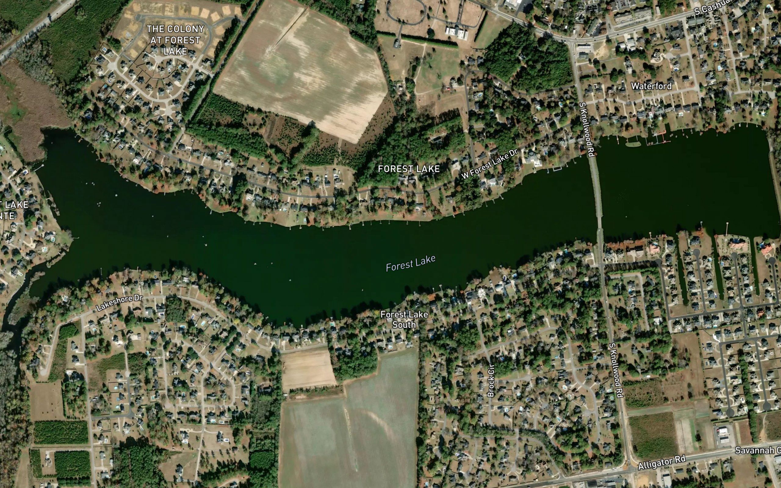 Forest Lake