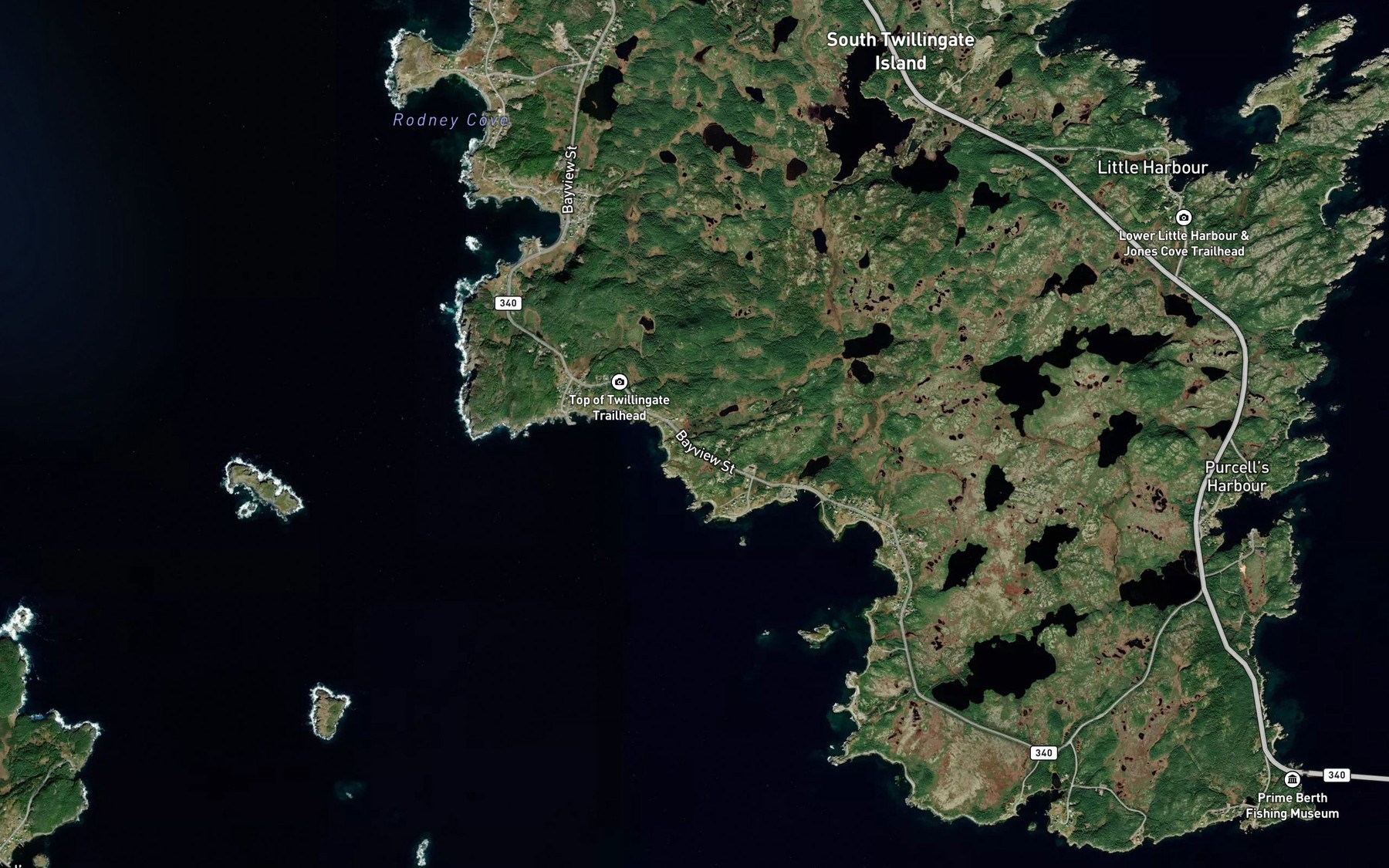 Satellite map of the Gillott Cove